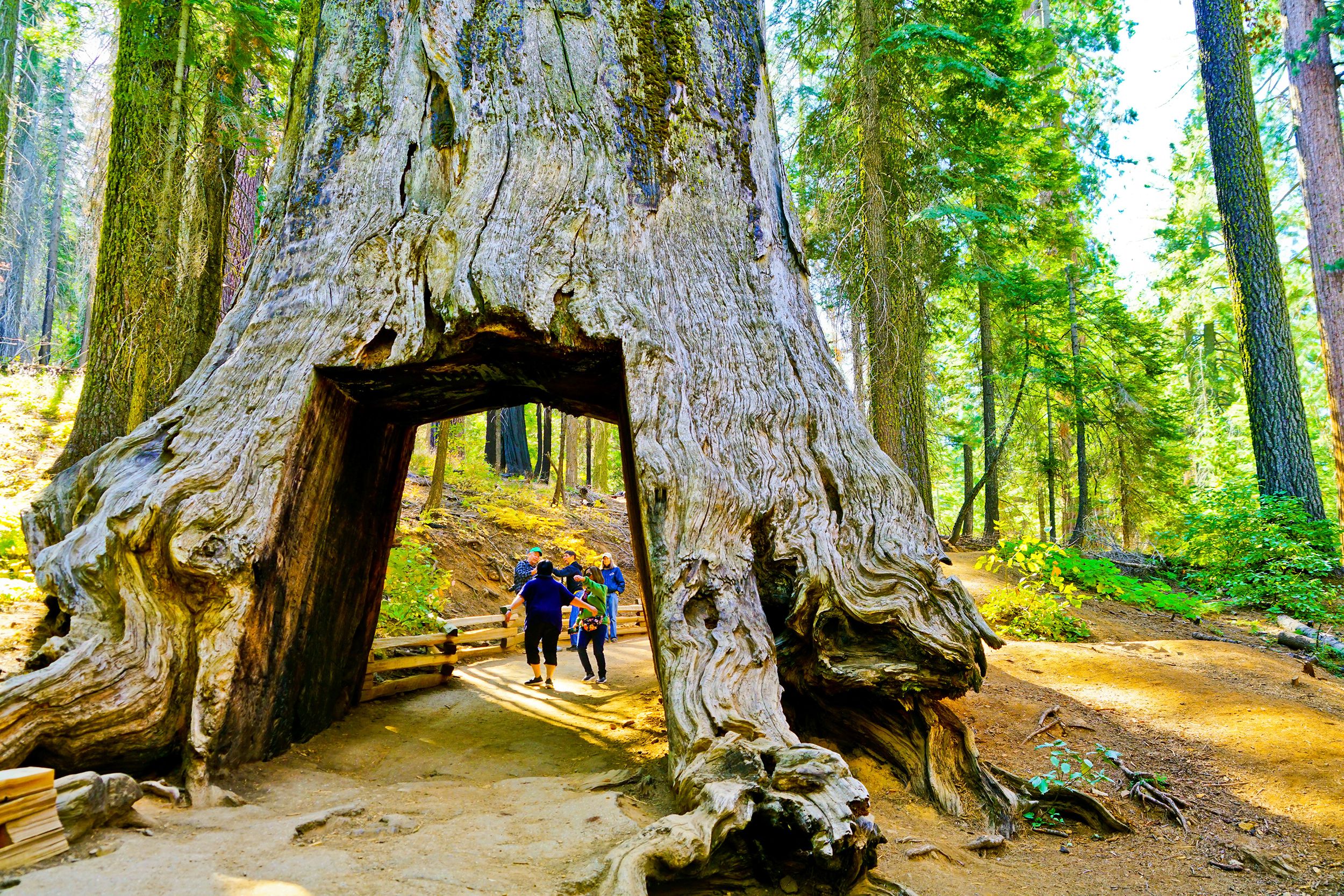 Yosemite National Park, Mariposa County, California
