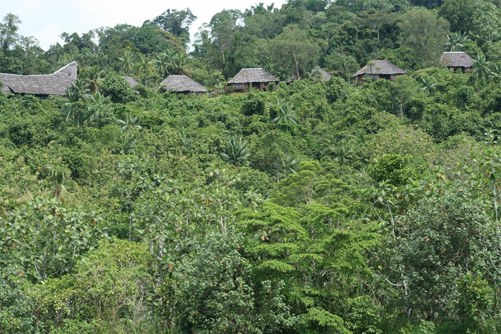 Karawari Lodge, Sepik, Papua New Guinea