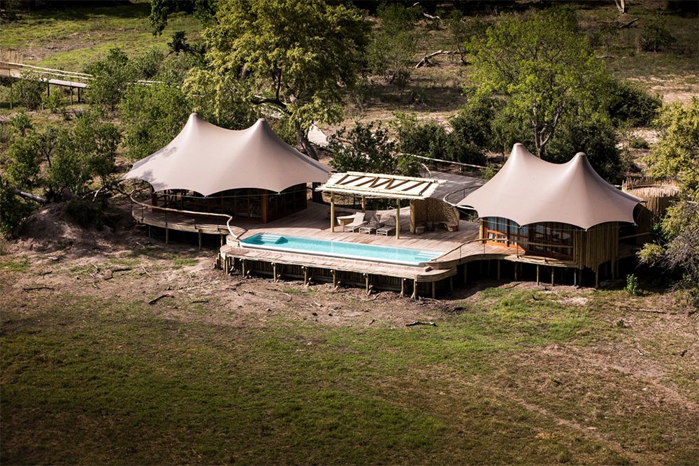 Little Mombo, Mombo Concession, Botswana