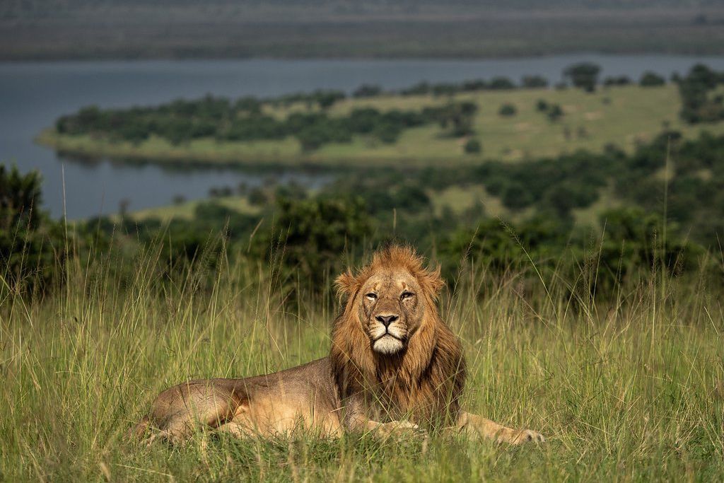 Magashi Camp, Akagera, Rwanda