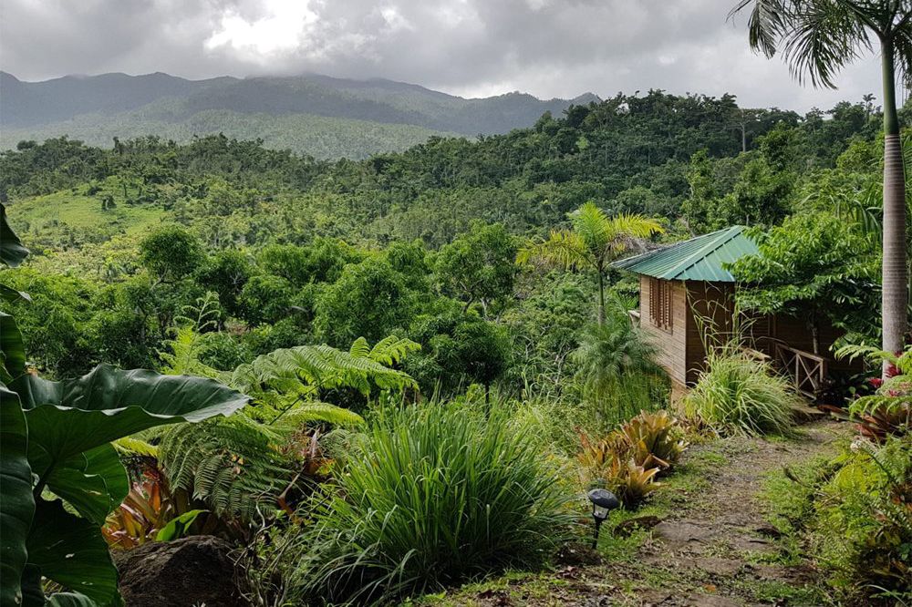 Yuquiyu Treehouses, El Yunque Rainforest, Puerto Rico