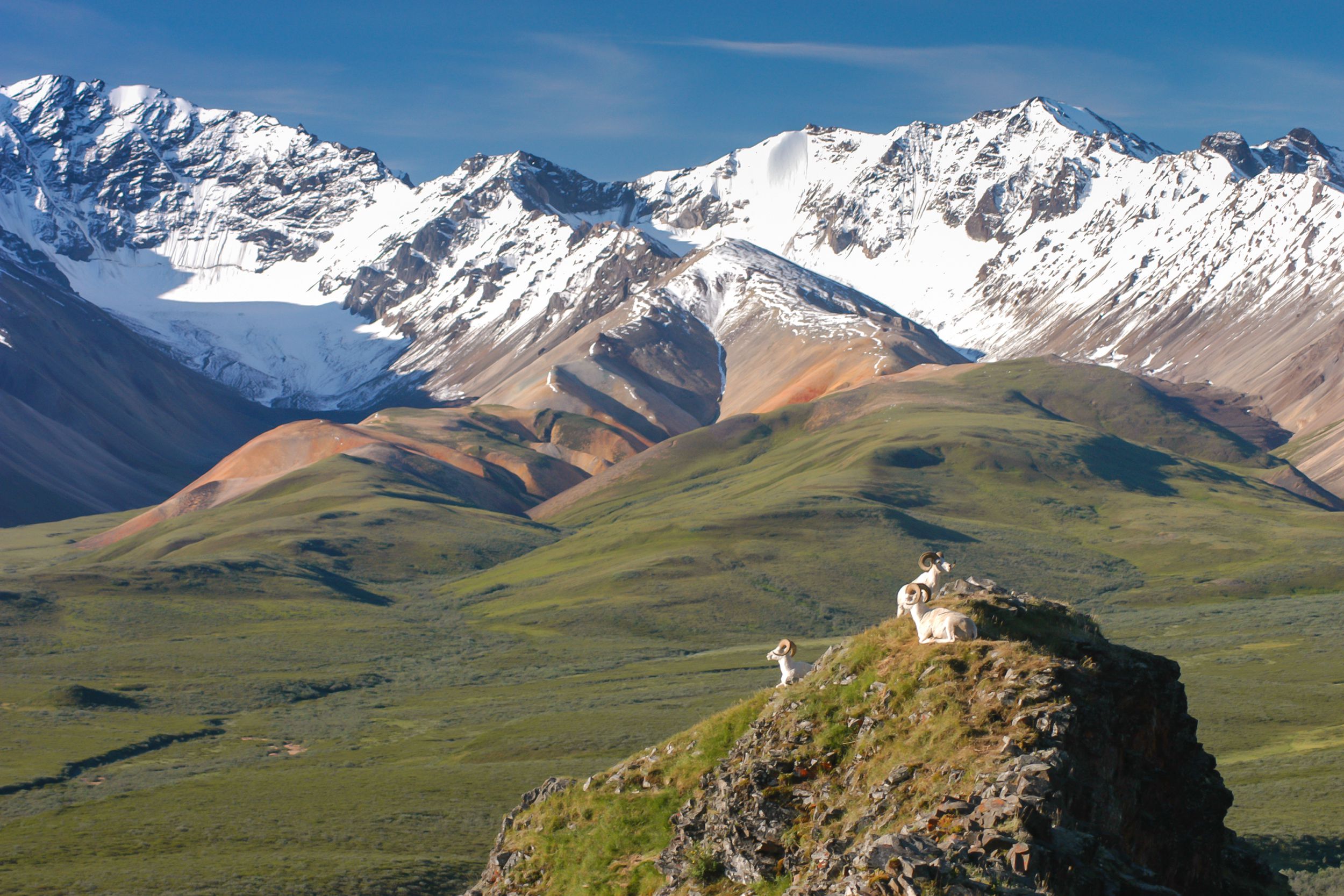 Denali National Park, Alaska