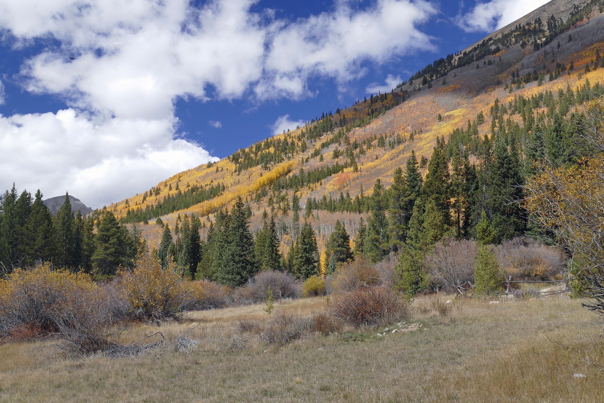 Winfield, Colorado