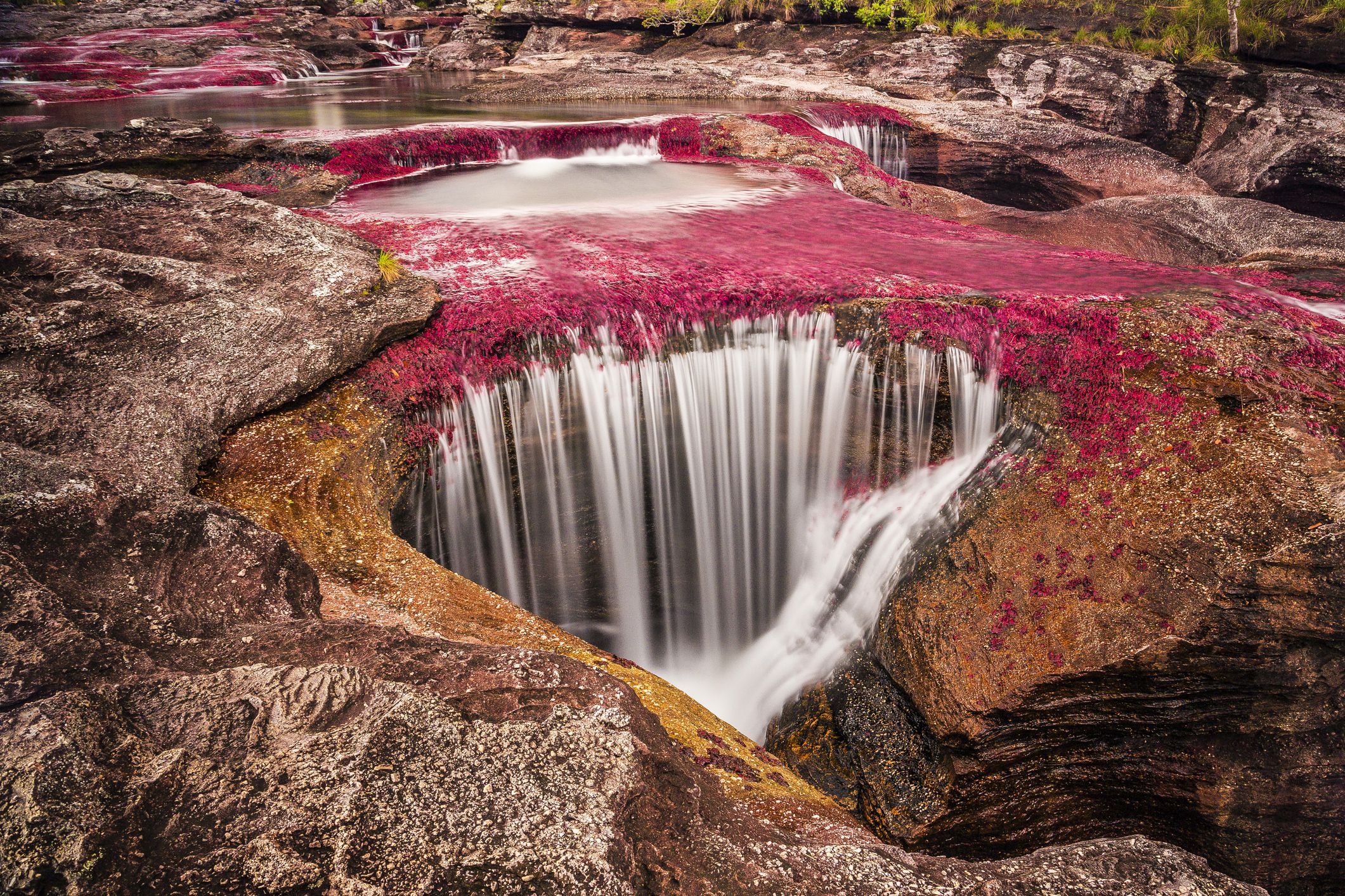 Crystal river, Colombia
