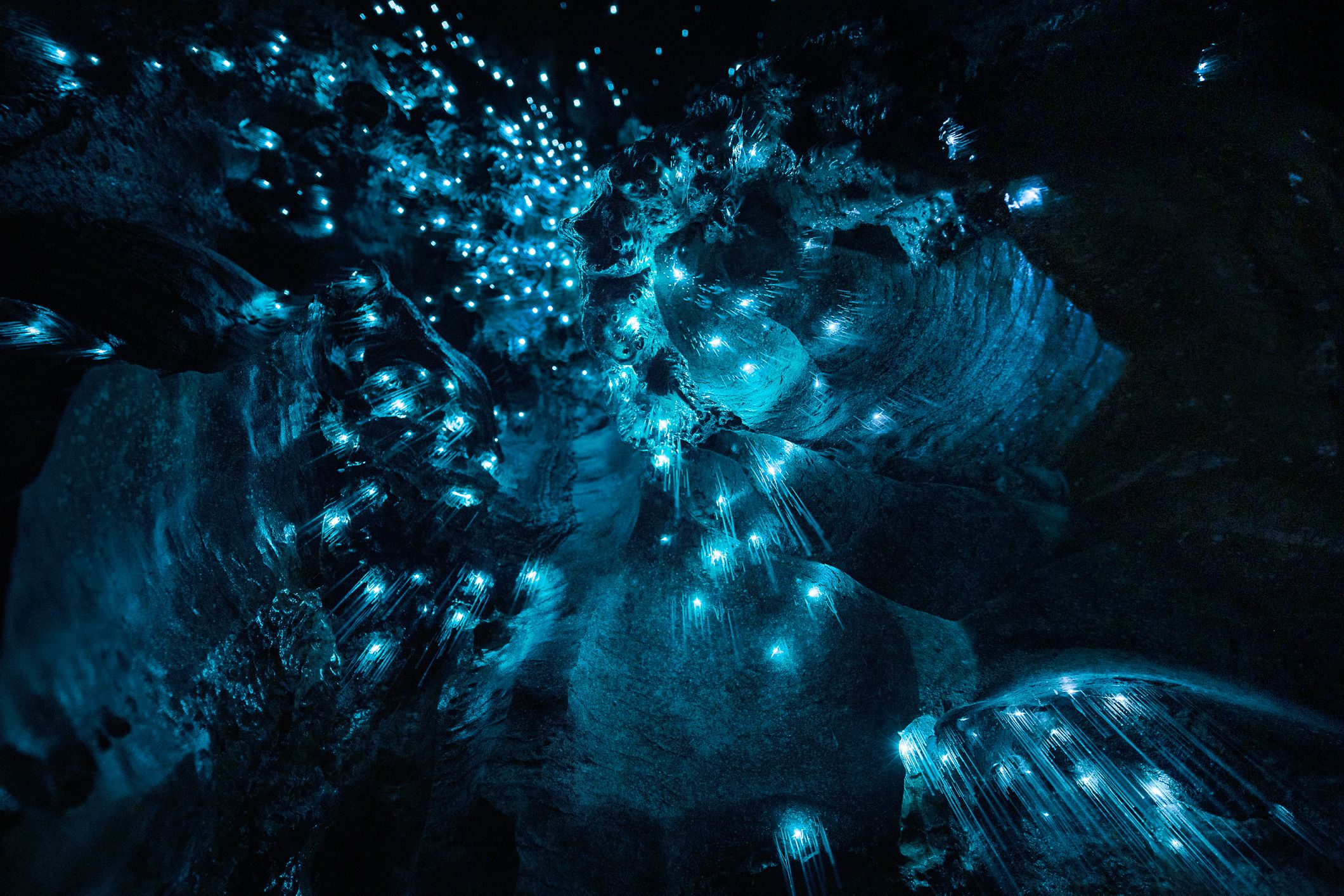 Waitomo Glowworm Caves, New Zealand