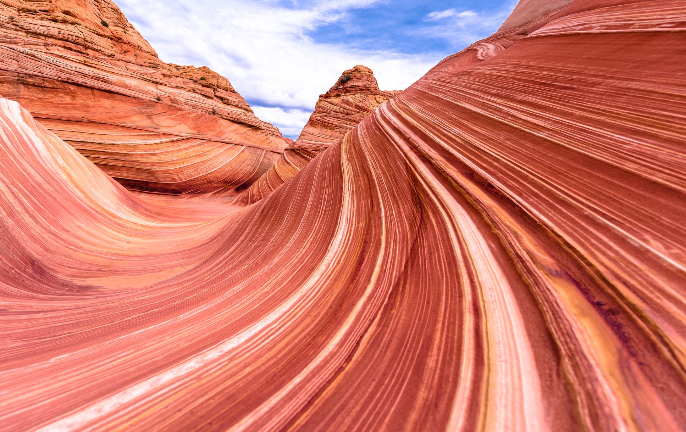 The Wave, Arizona
