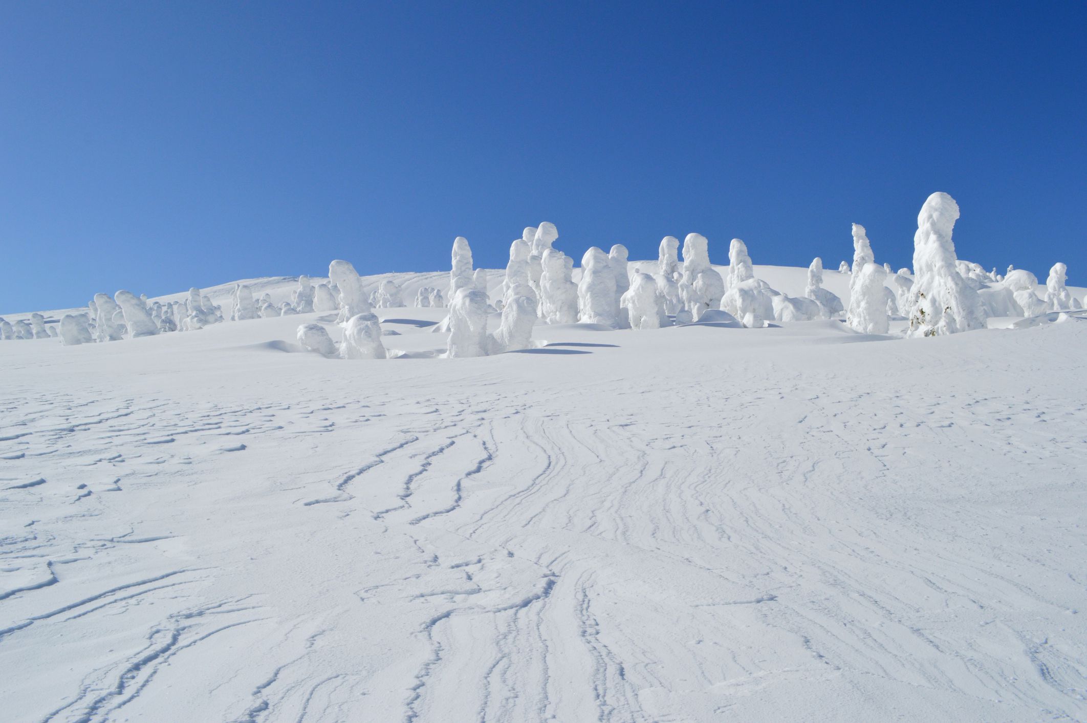 Snow monsters in mount ZAO