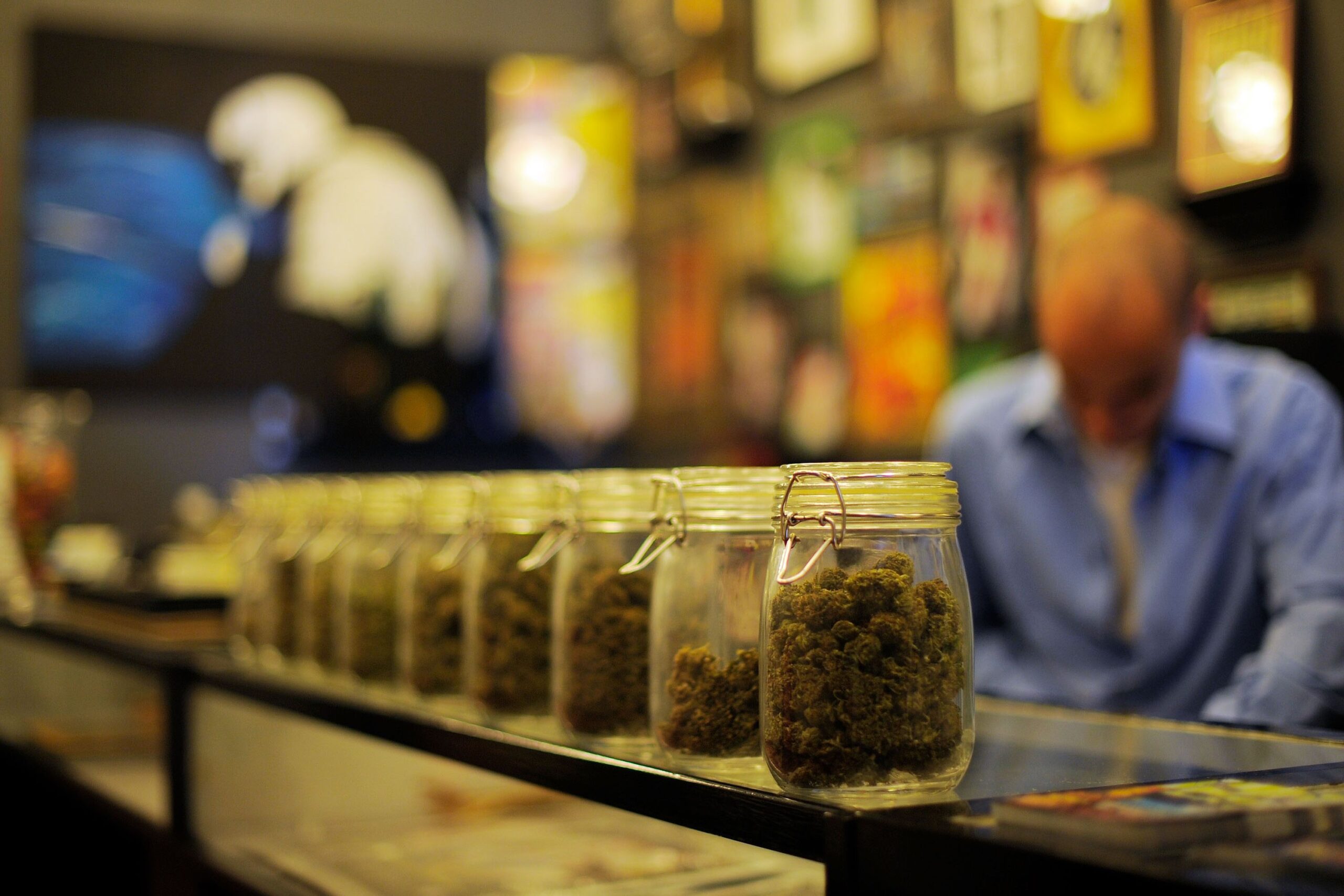 jars full of medical marijuana are seen at sunset junction medical marijuana dispensary on may 11, 2010 in los angeles, california