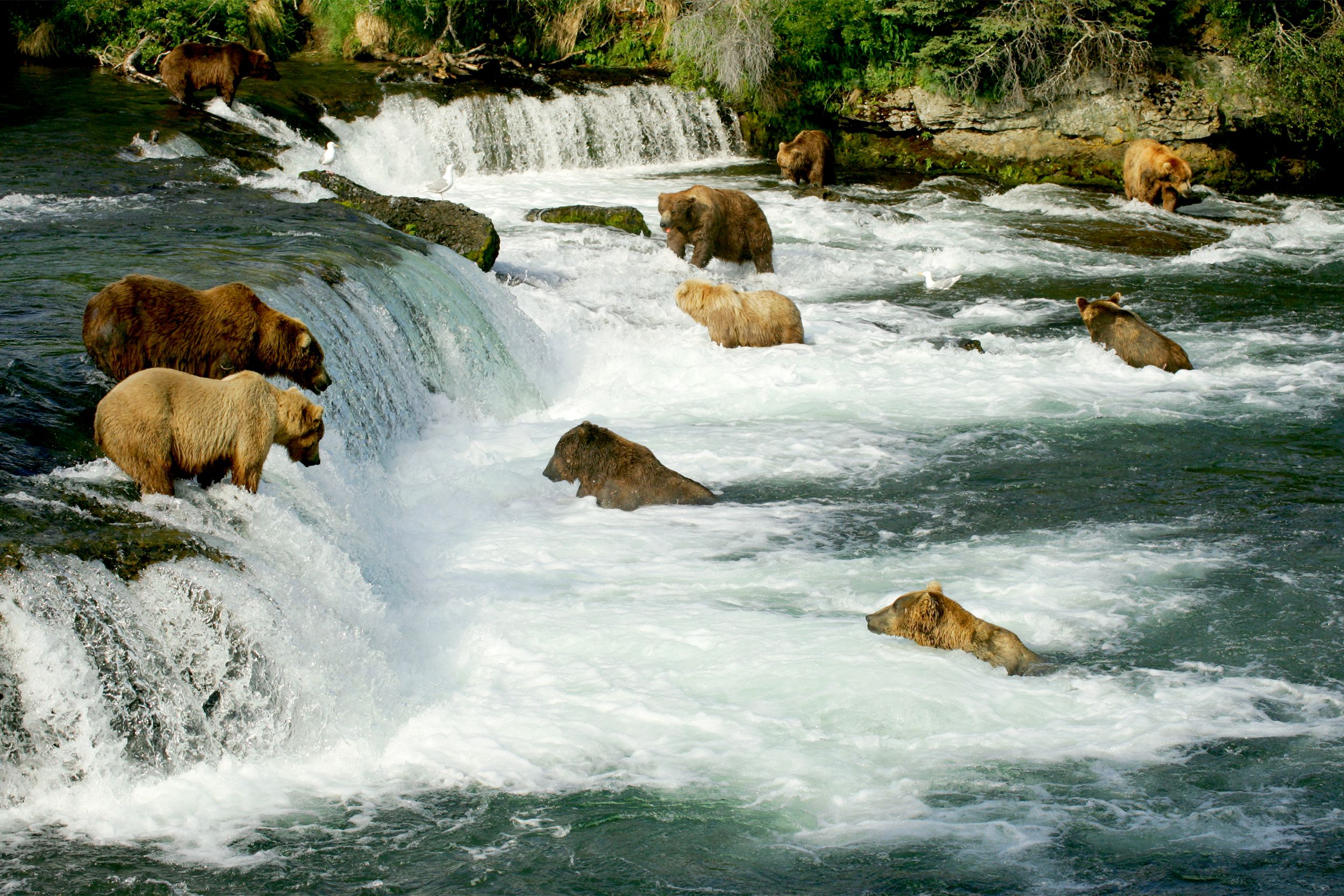 Katmai National Park