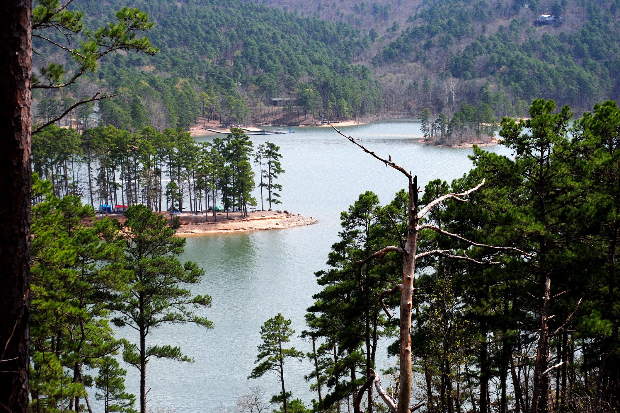 Lake Ouachita, Arkansas, as seen through the trees on a hill, islands of trees scattered in the lake, evergreen trees on a hill in the background on a sunny day