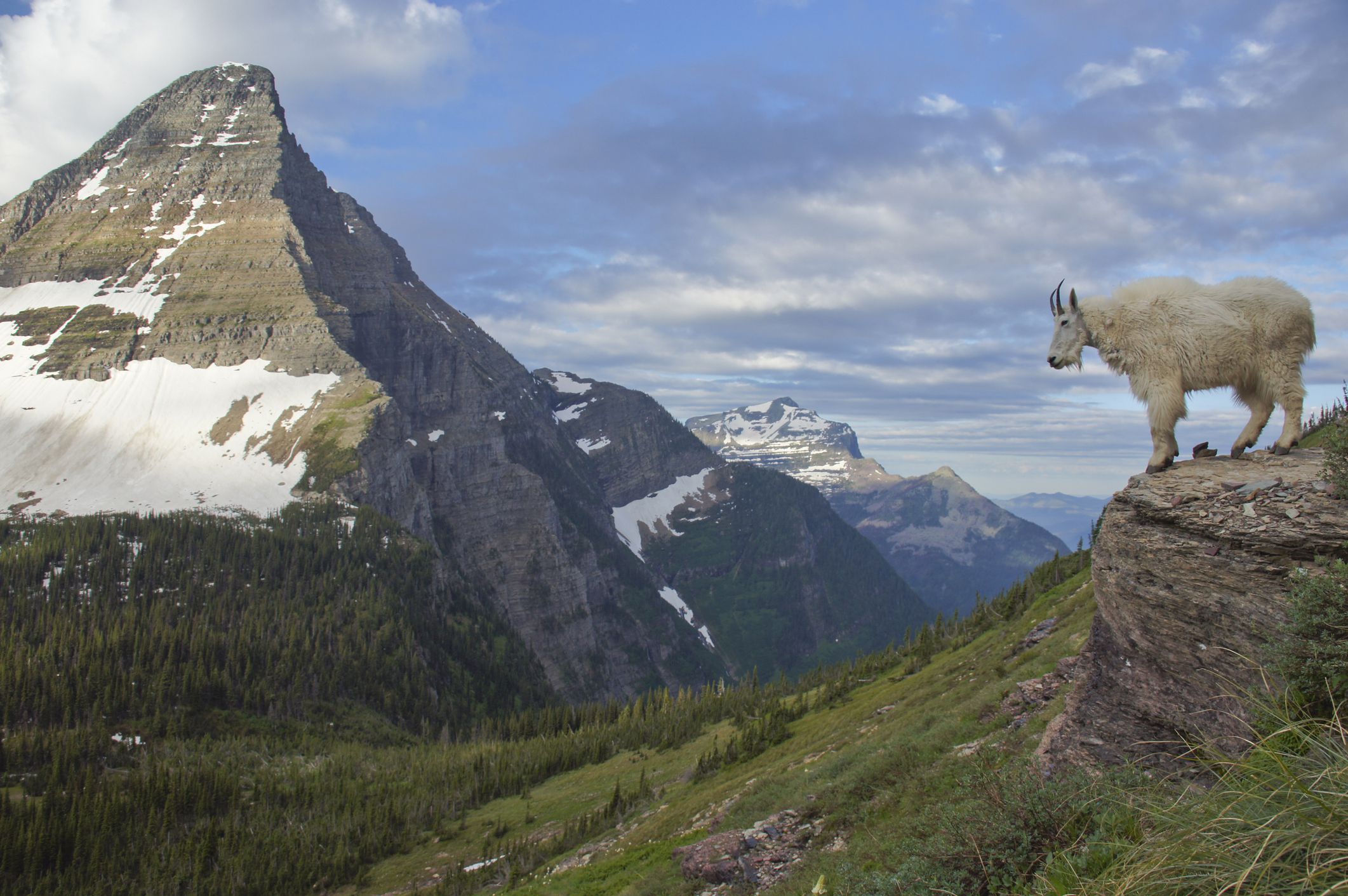 National Parks with the Best Activities