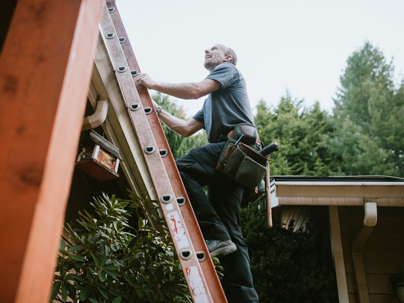 Remodeling And Repairs