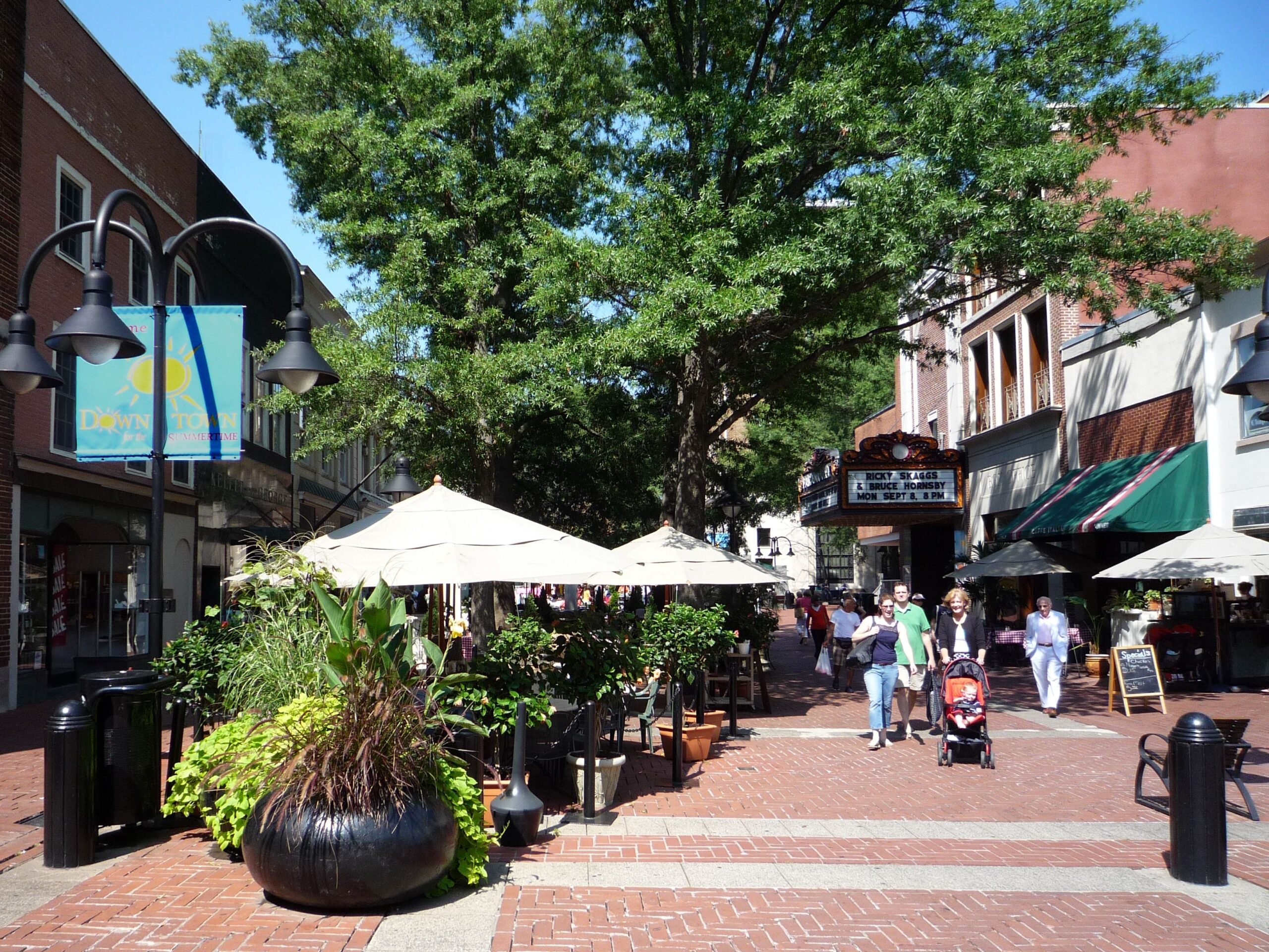The Downtown Mall