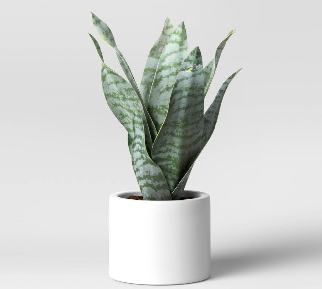 Artificial Snake Plant in Pot