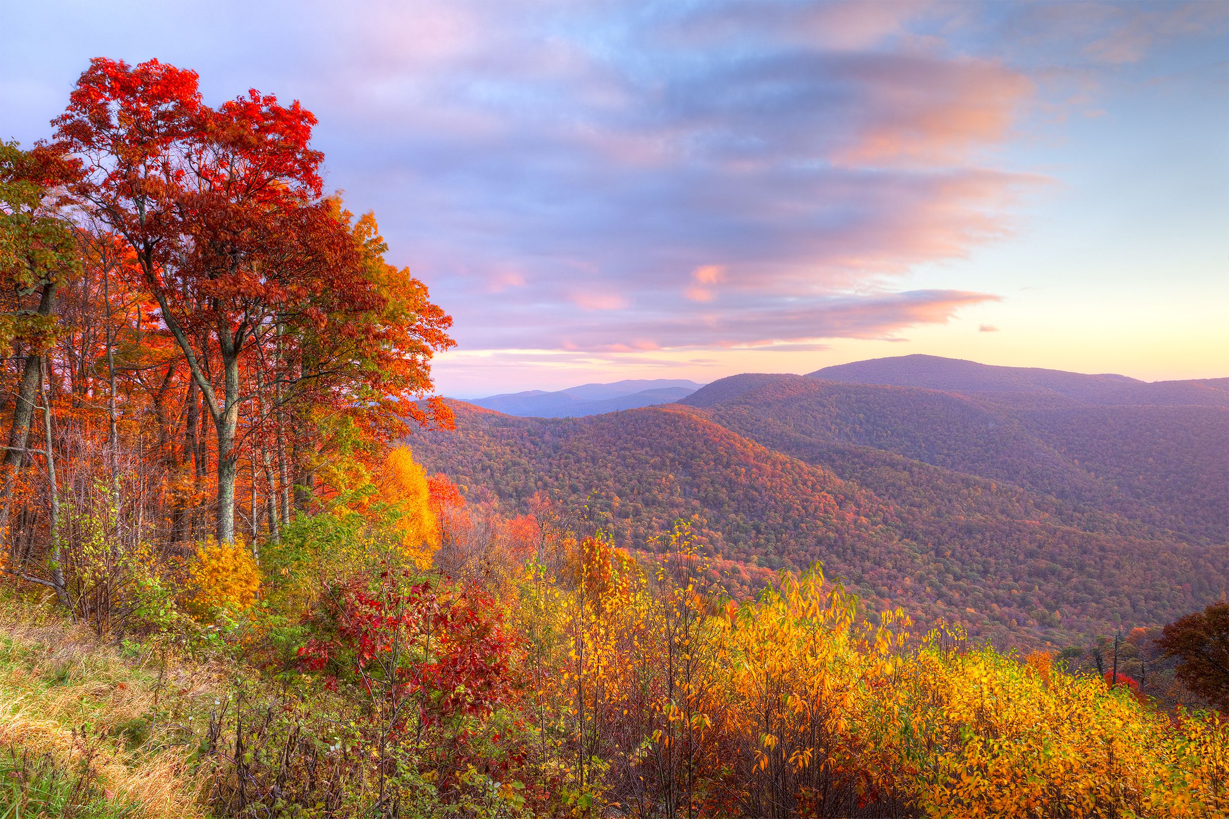 Shenandoah National Park
