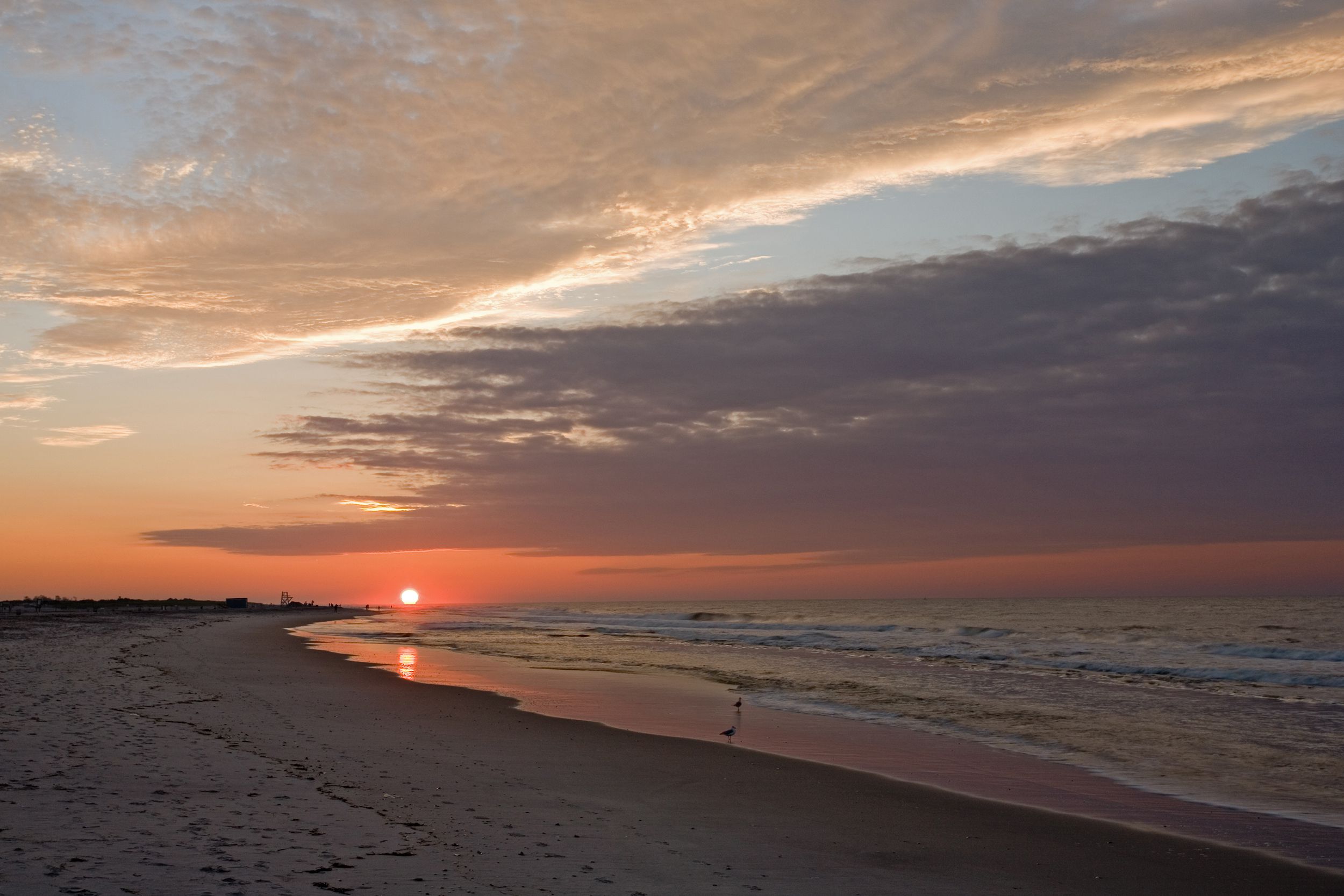 Sunrise at Jones Beach, New York, empty beach with a few sea birds, expansive sky with dark purples and oranges