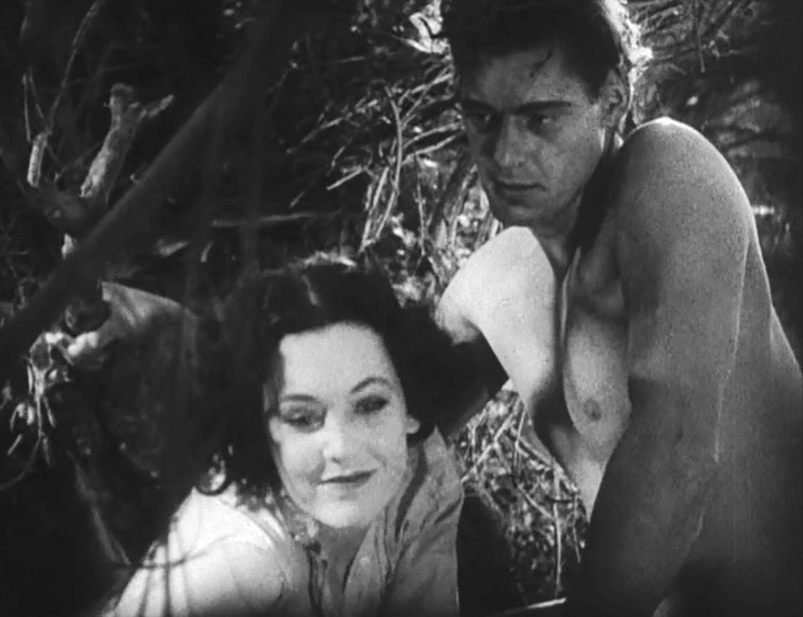 Tarzan, the Ape Man