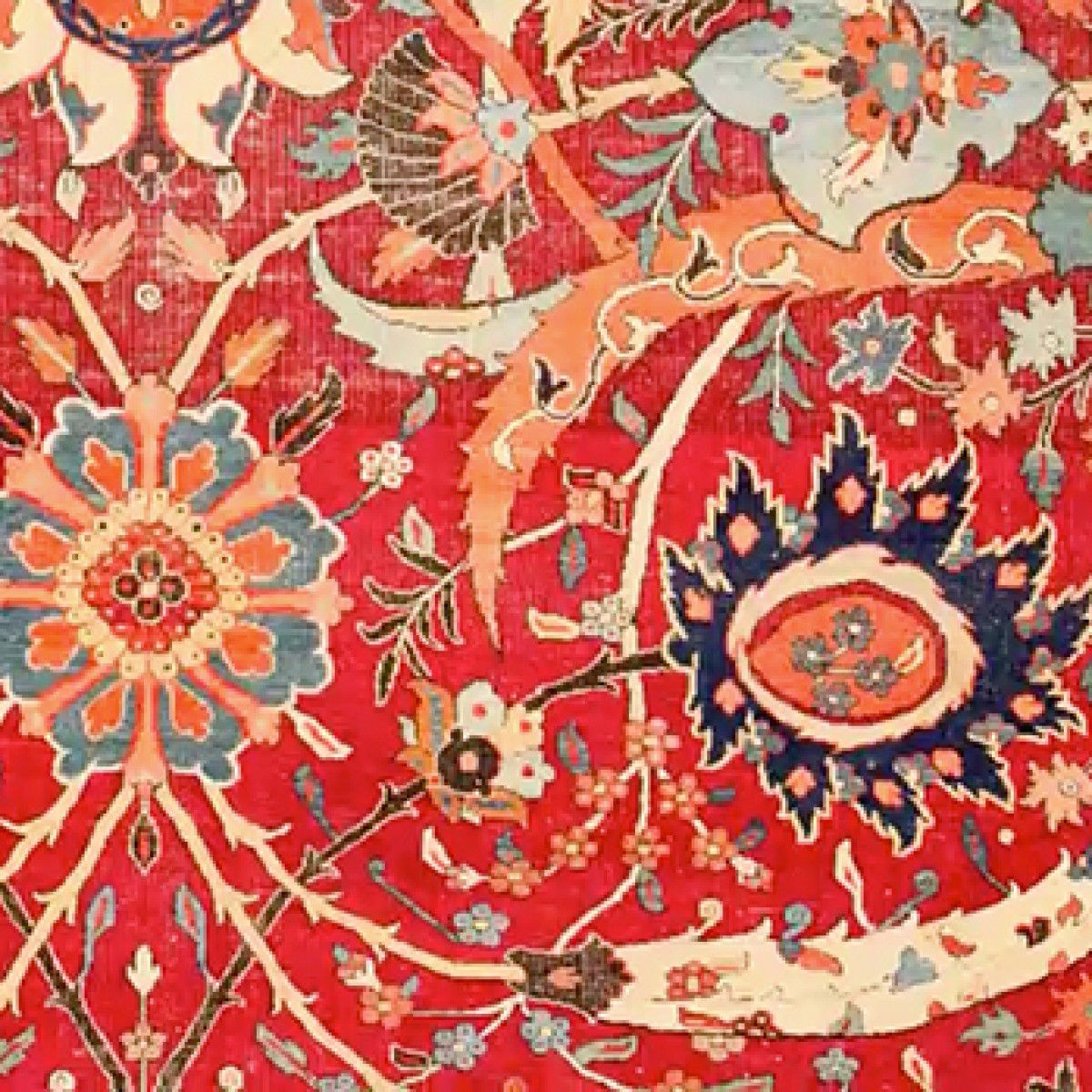 The Clark Sickle-leaf Carpet