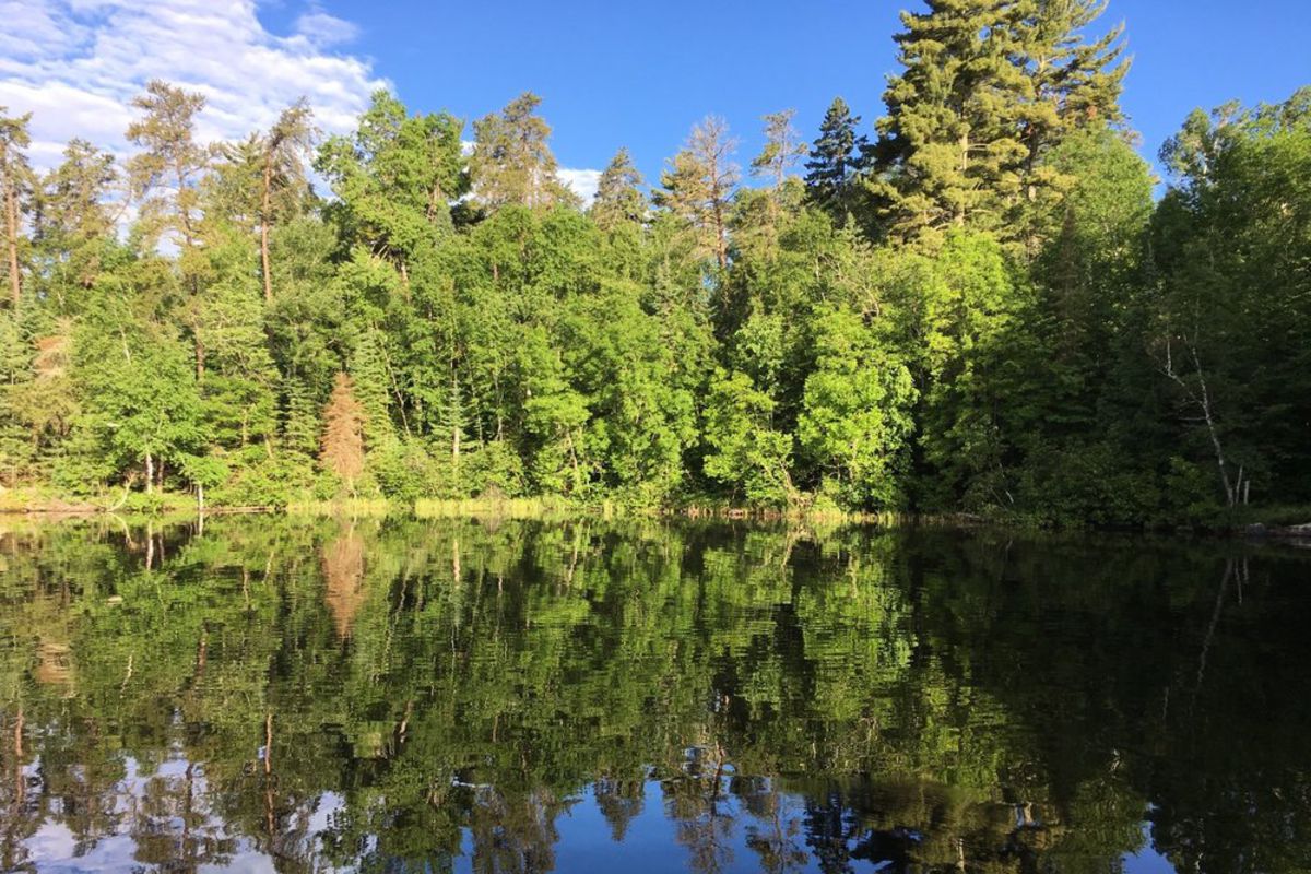 Trees along shore and blue sky reflected in Lake Vermilion, Minnesota, on a sunny day
