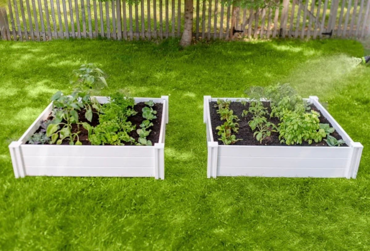Two white raised garden beds, inspired by the best Costco finds, brim with lush green plants and vegetables on a vibrant lawn, framed by a wooden fence and towering trees in the background.