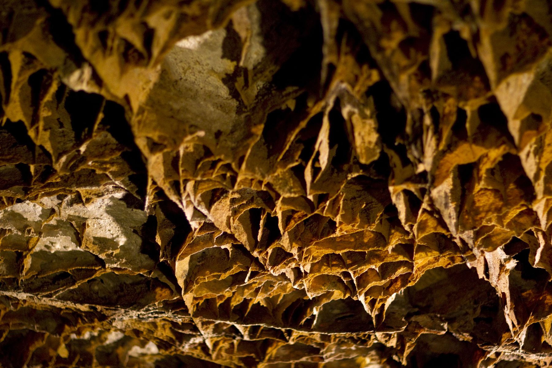 Wind Cave National Park