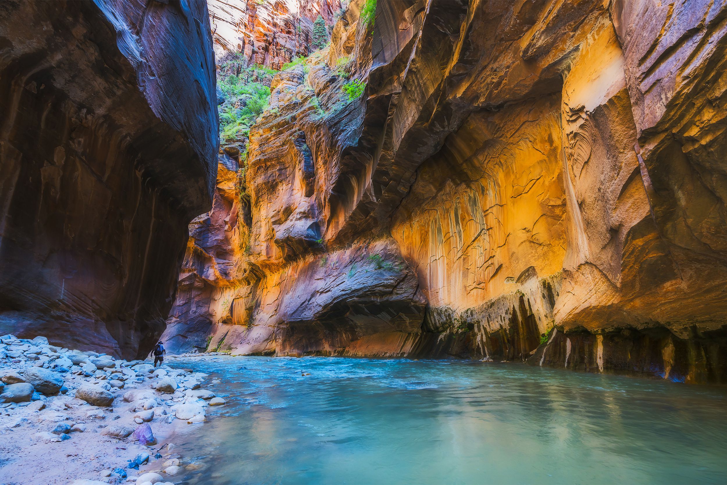 Zion National Park