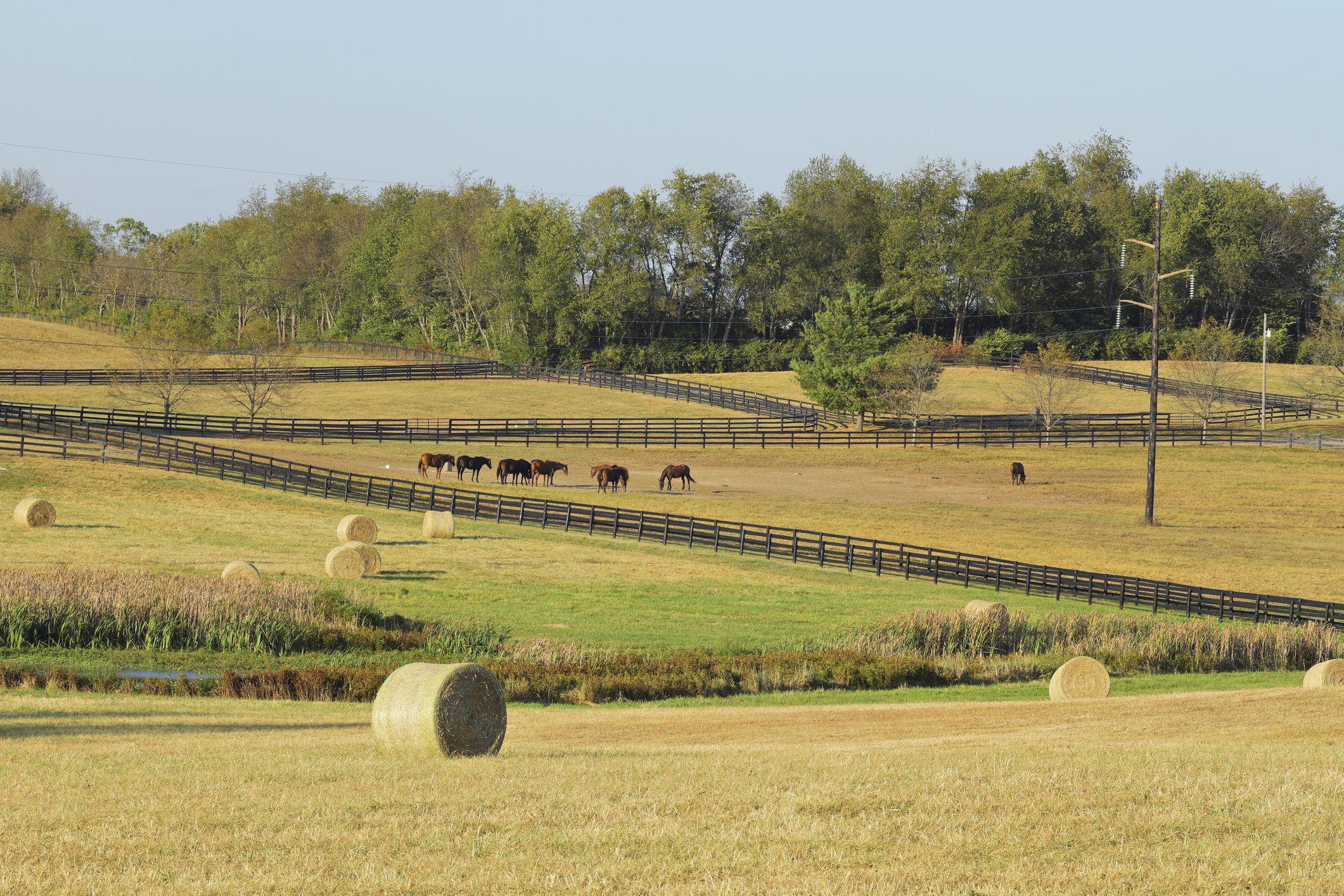 Rural landscape (Kentucky).