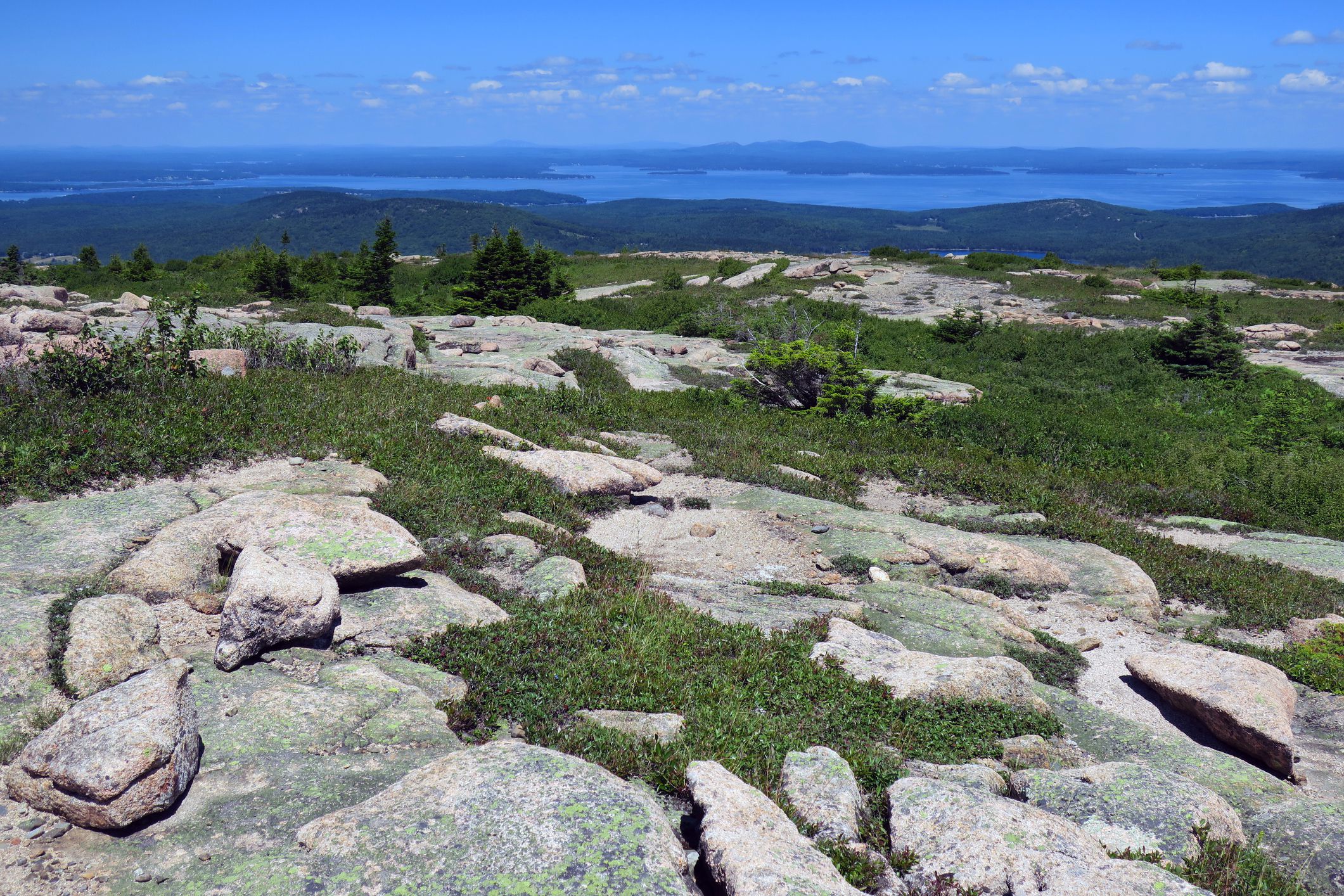 View along the Cadillac Mountain South Ridge Trail at Acadia National Park