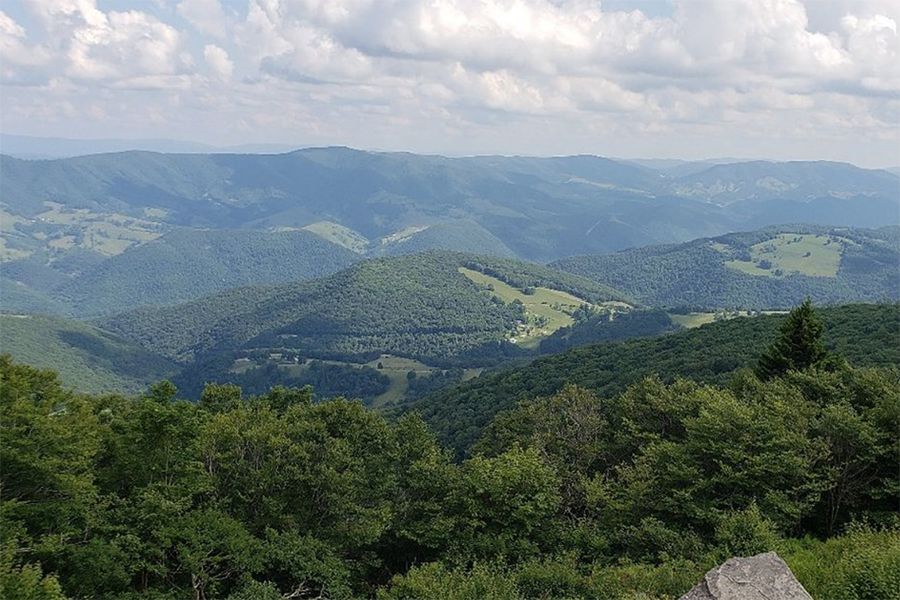 Spruce Knob Trail, West Virginia