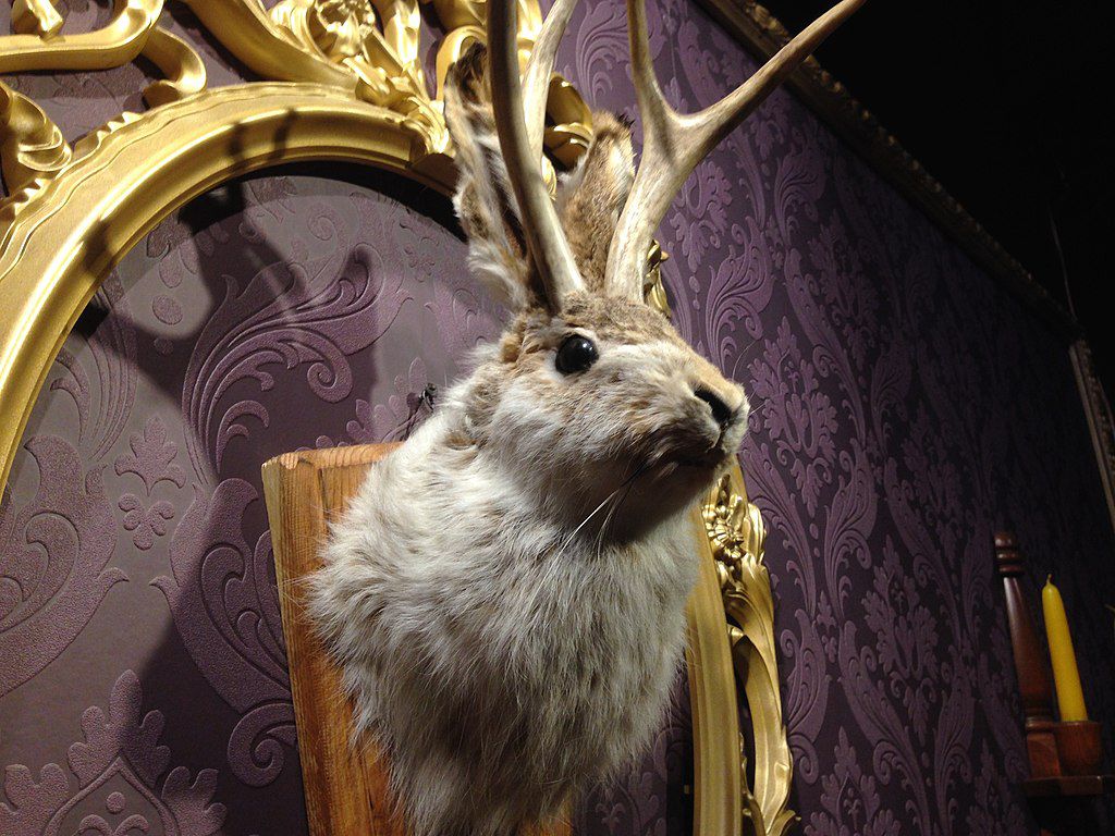 Jackalope