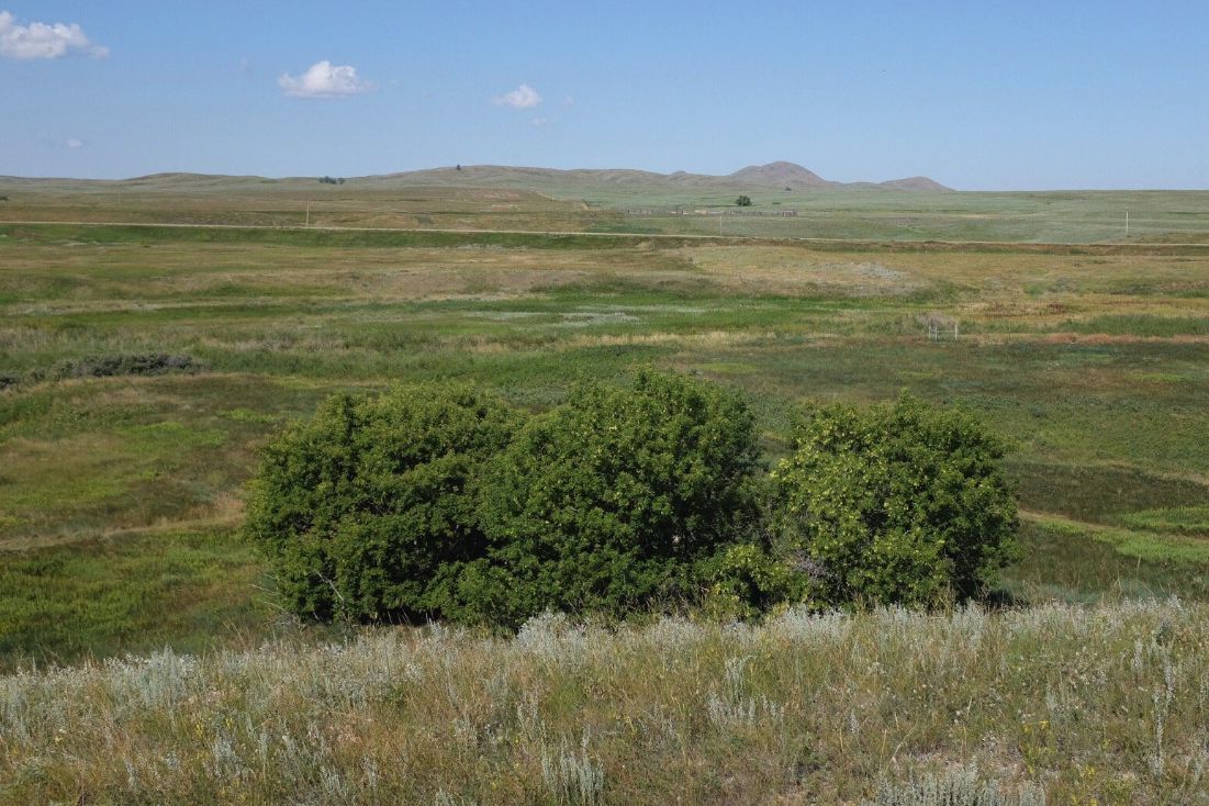 Bear Paw Battleground, Montana