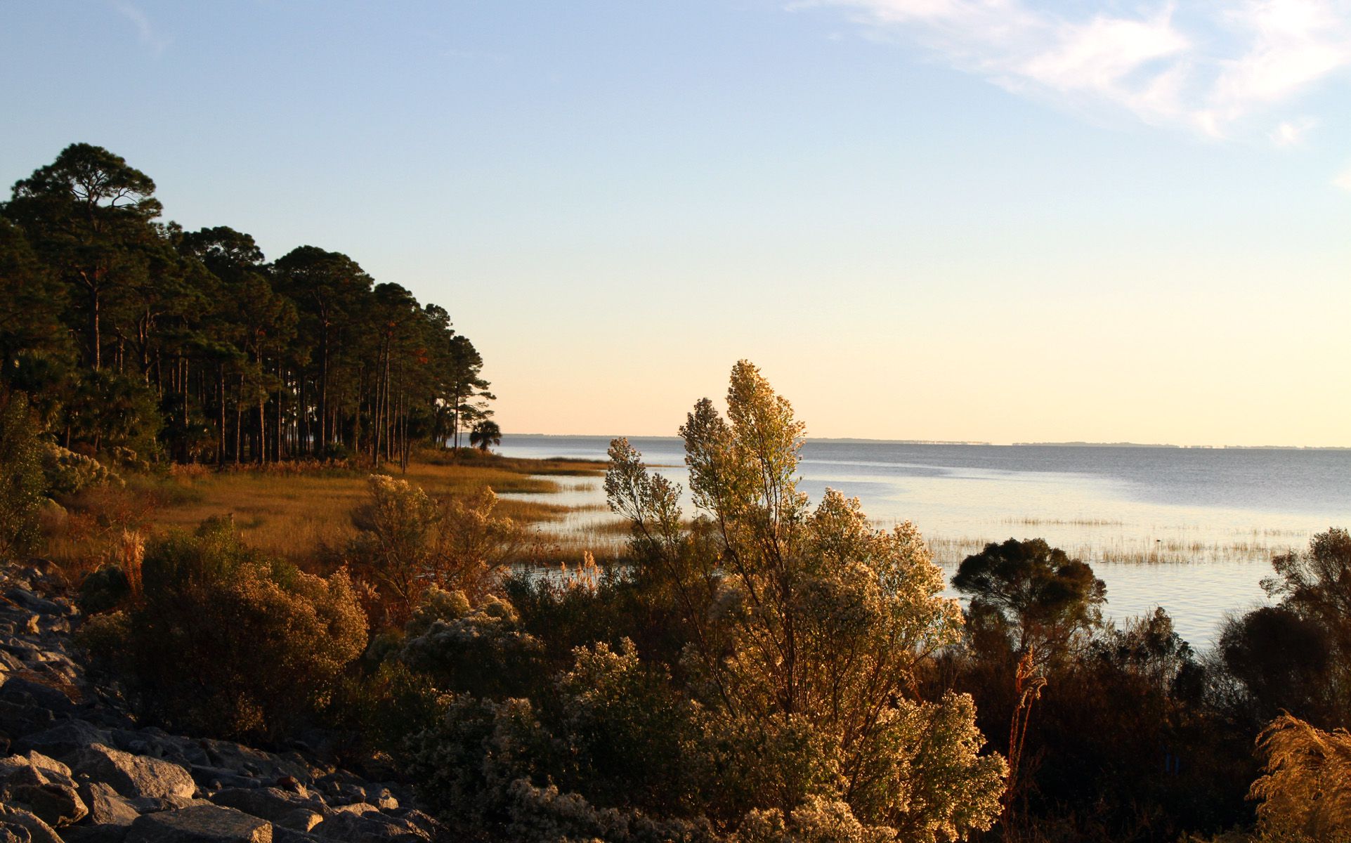 For Nature Lovers: The Forgotten Coast