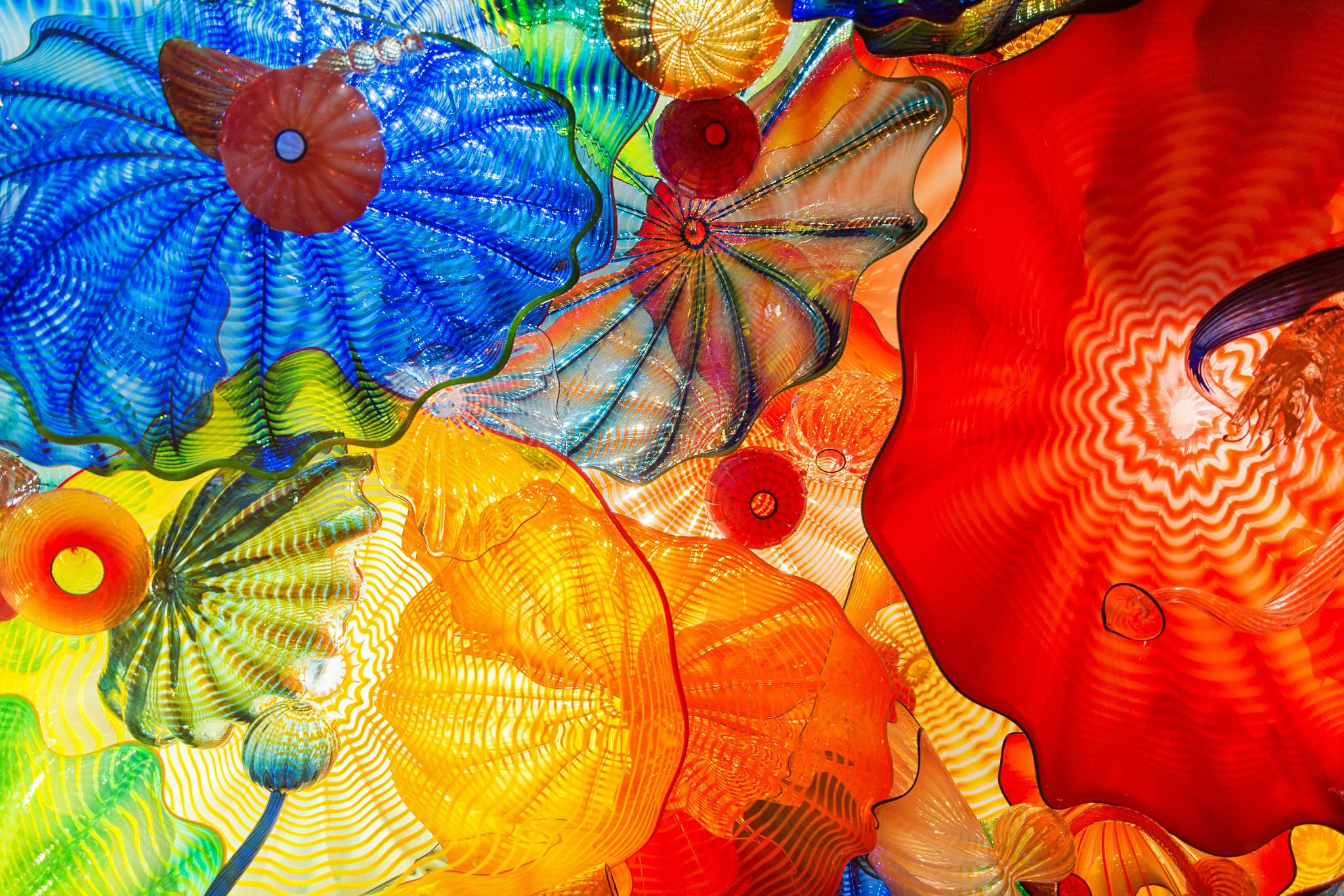 Chihuly glass sculptures