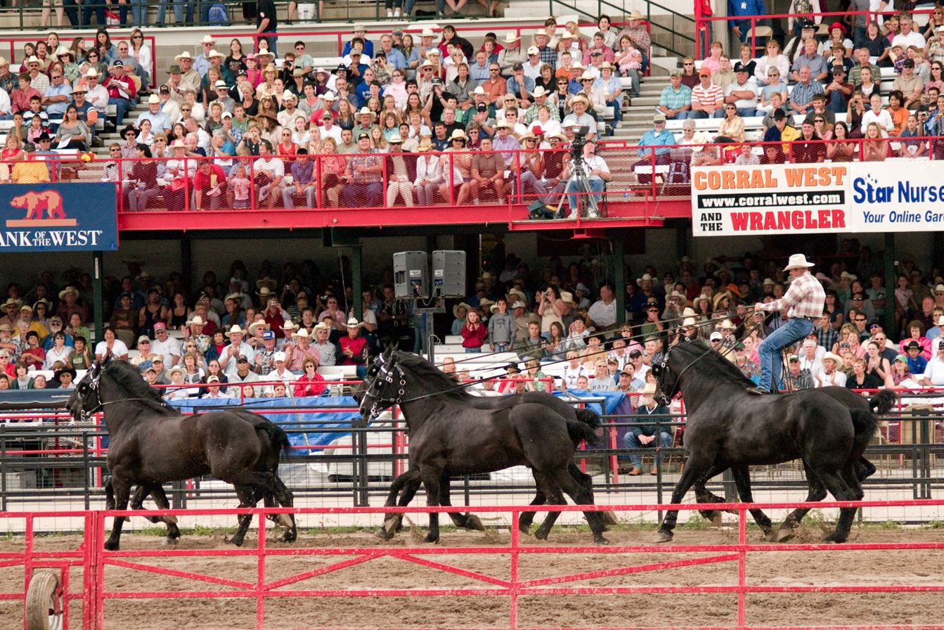 Wyoming: Cheyenne Frontier Days