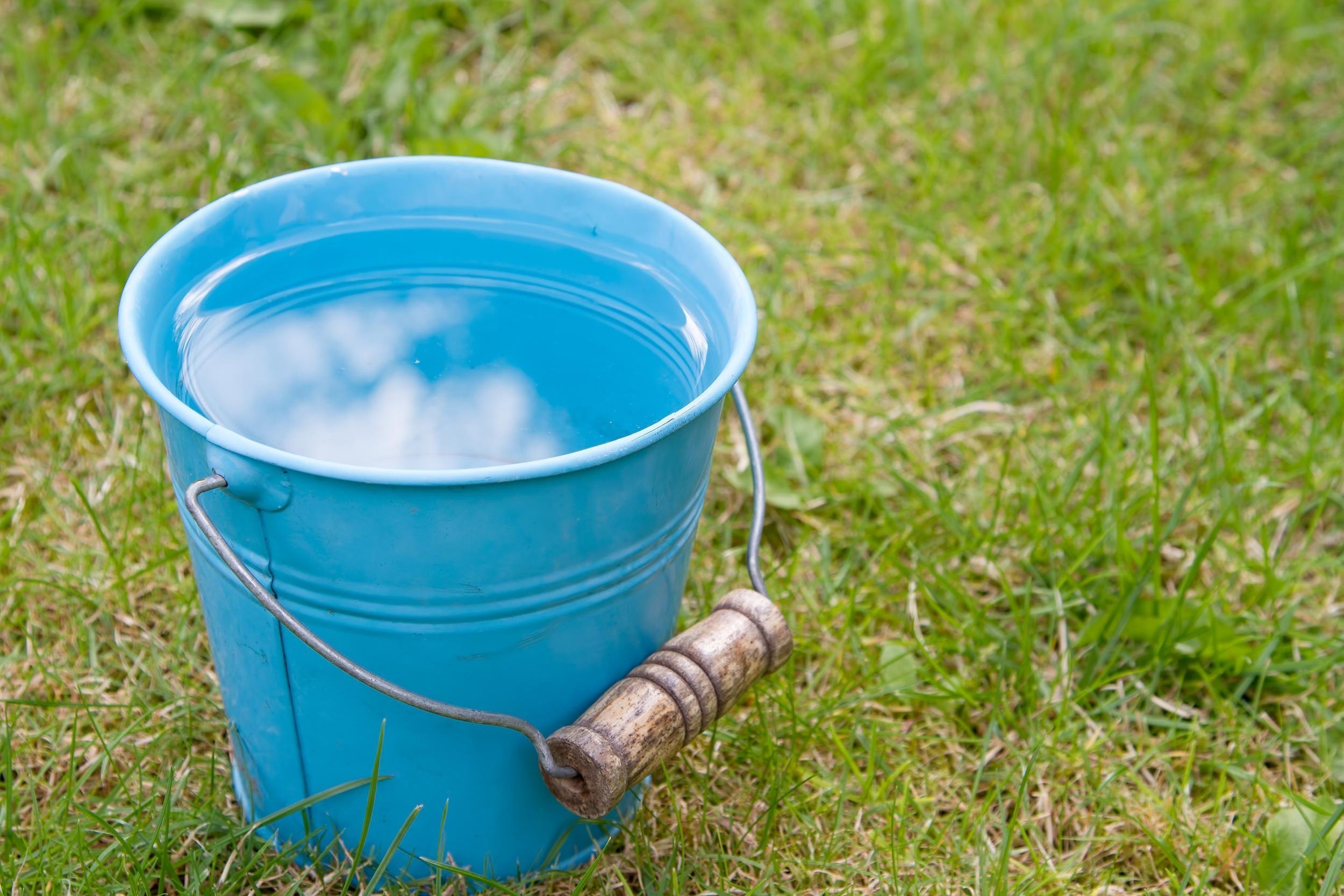 full blue bucket of water on the grass