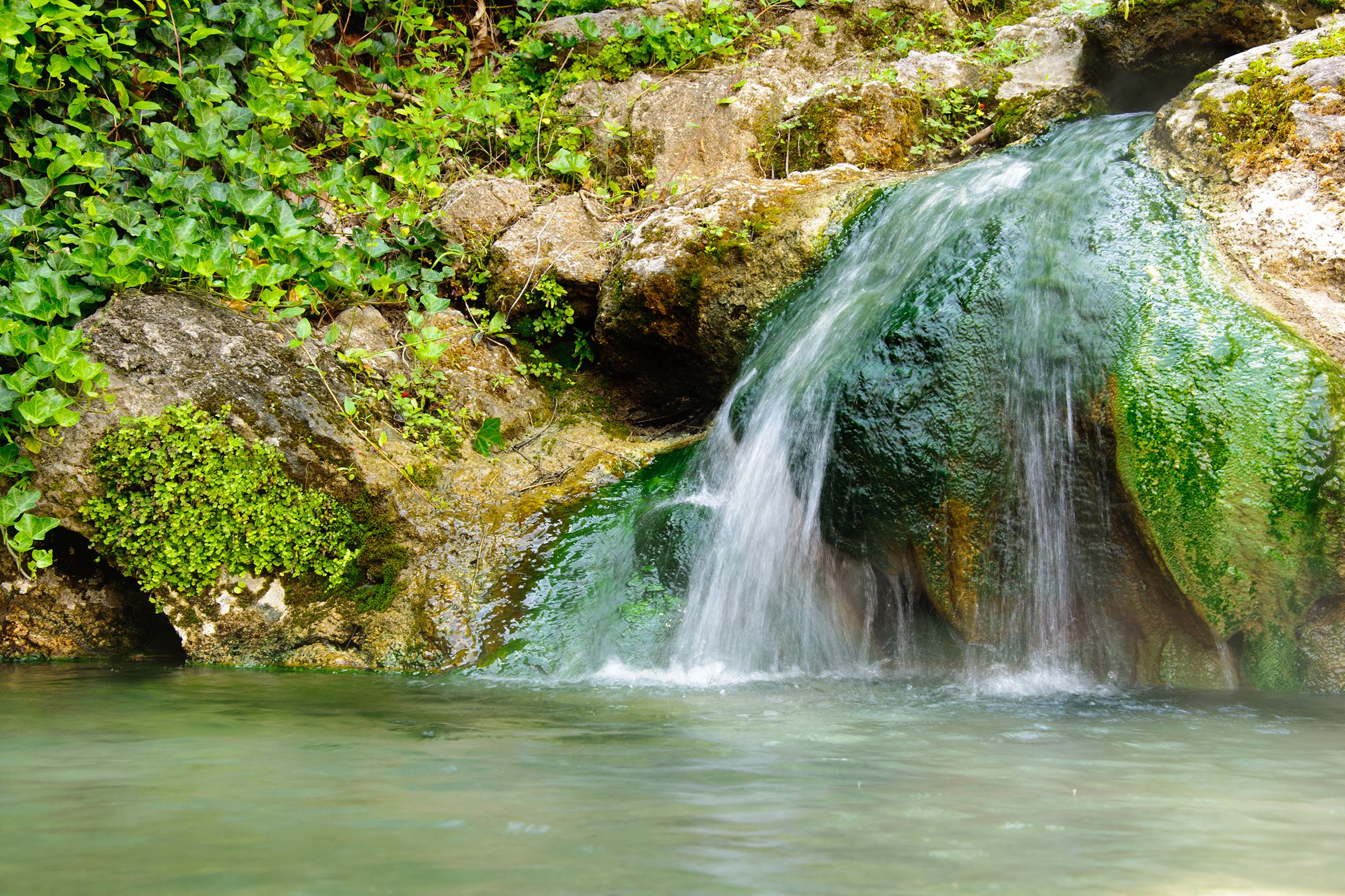 Closeup of a natural thermal springs in Hot Springs, Arkansas, surrounded by greenery on rocks, on a sunny day