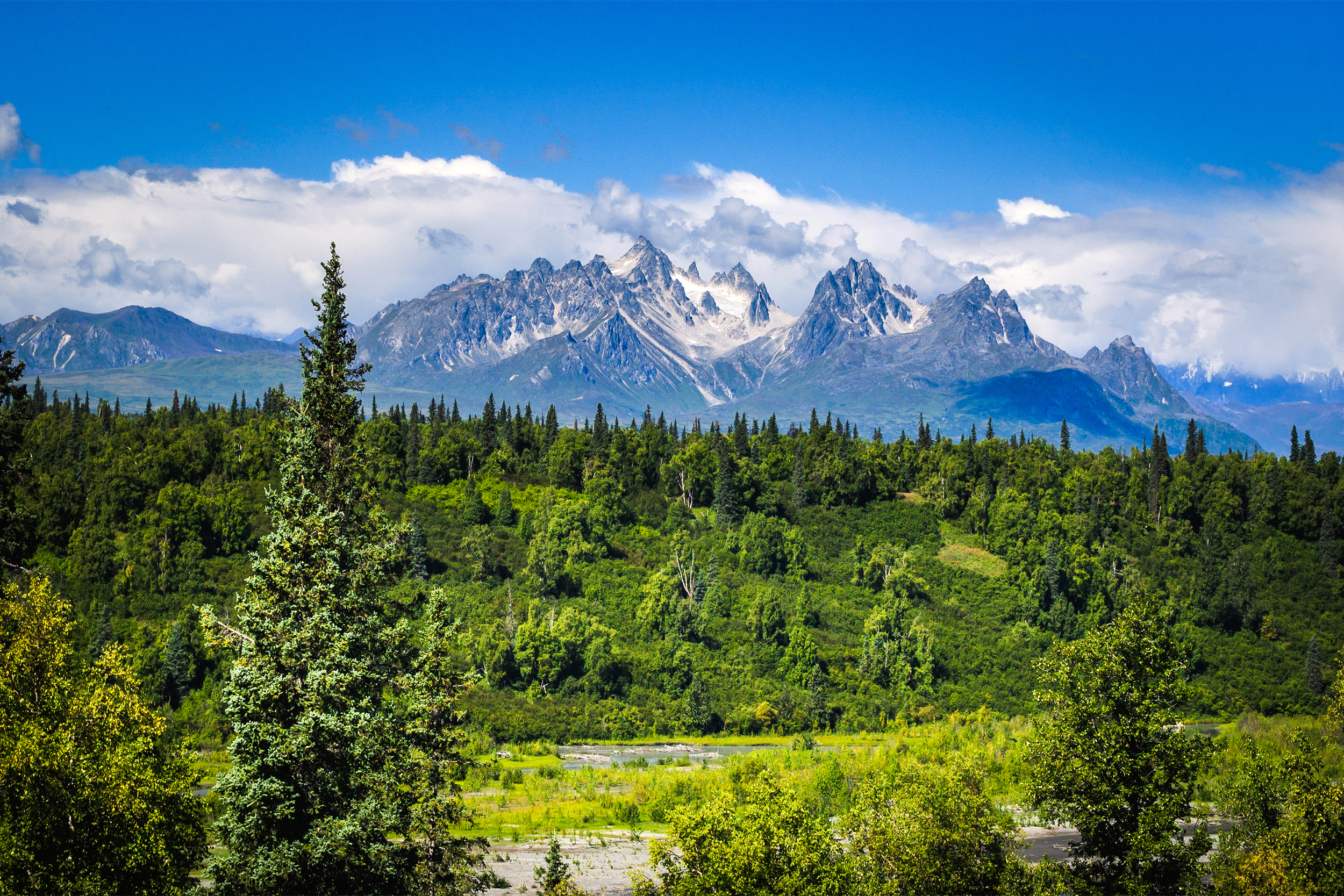 Denali National Park, Alaska, rugged mountain peaks rise over the green river valleys, on a sunny day during summer