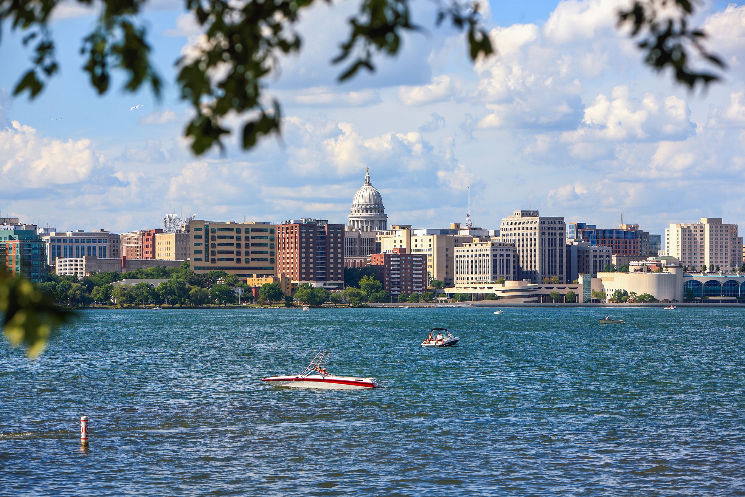 Downtown Madison, Wisconsin, lake in the foreground, blurred tree leaves frame the image, on a sunny day