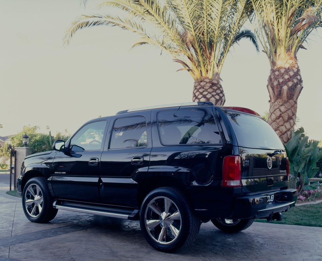 A black Cadillac Escalade sits amongst a backdrop of palm trees.