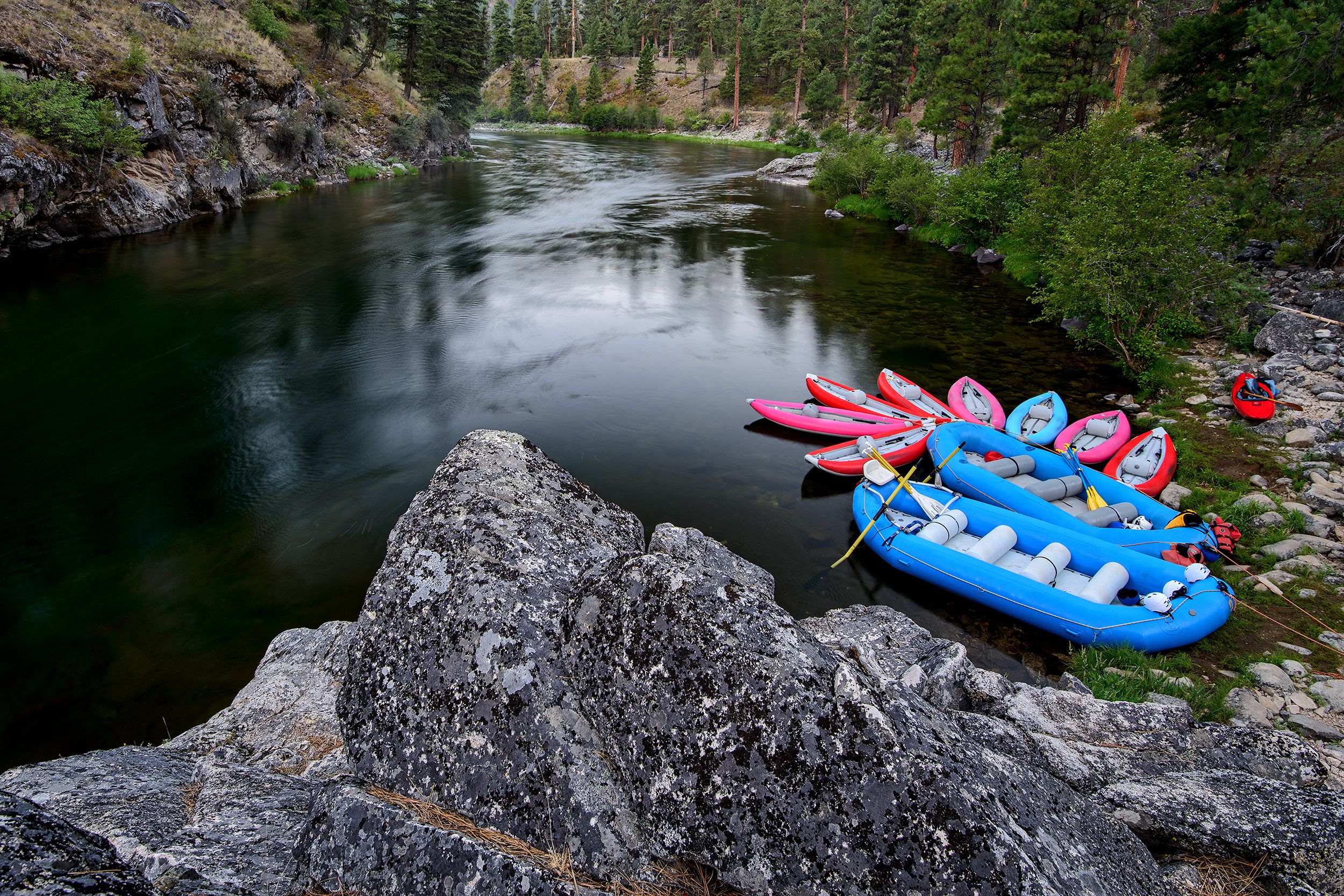 Inflatable rafts, small and large sizes, along edge of Salmon River, Idaho, grey rocks in the foreground, surrounded by forest foliage