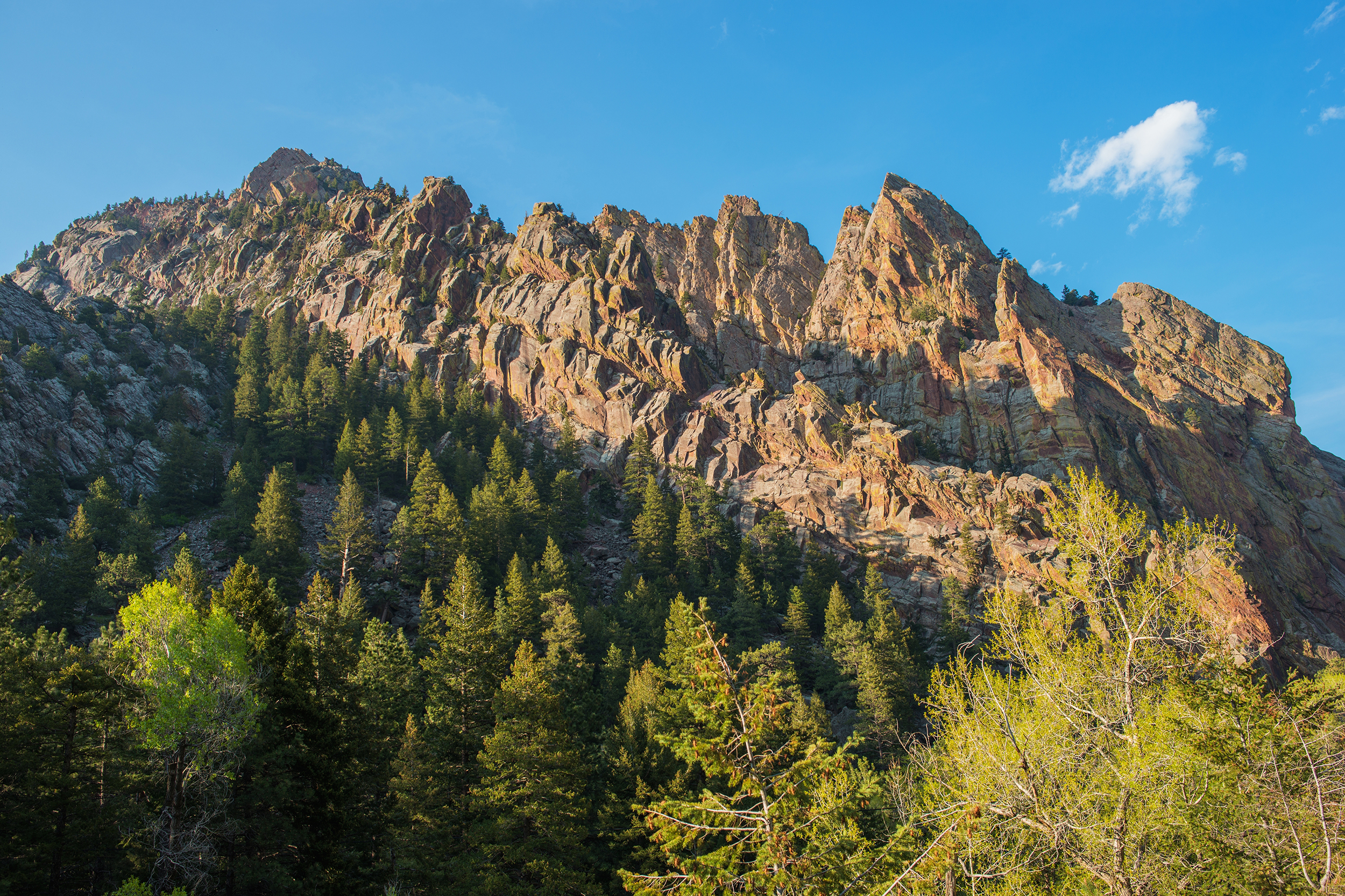 Mountains in Eldorado Canyon State Park, Boulder, Colorado, trees in the foreground and climbing up the mountains, on a sunny day during spring