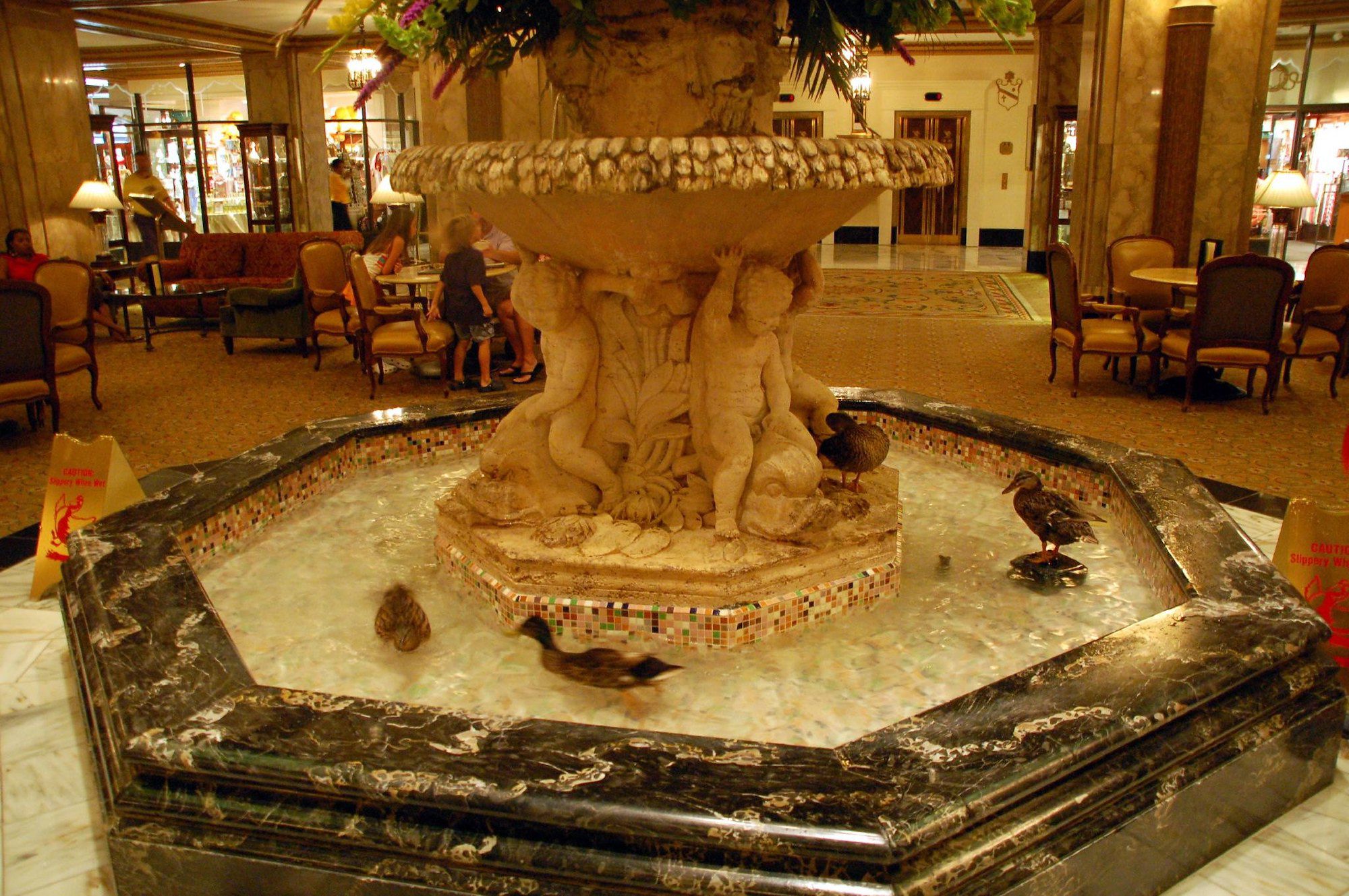 Peabody Ducks in the fountain of the Peabody Memphis Hotel, Memphis, Tennessee, seating in the background