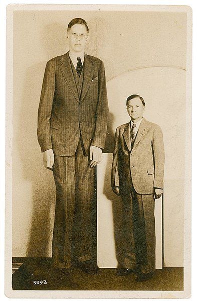 Robert Pershing Wadlow