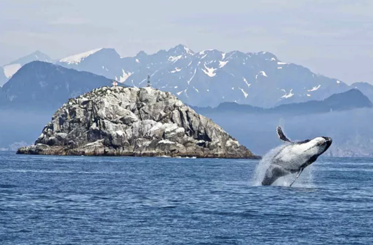 Kenai Fjords National Park