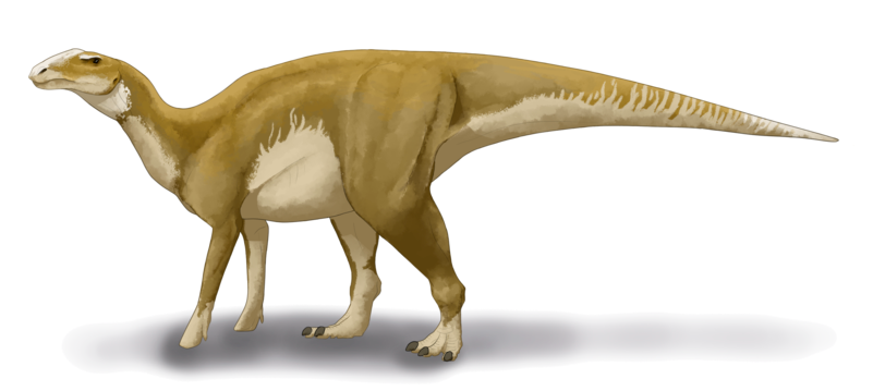 Hadrosaurus