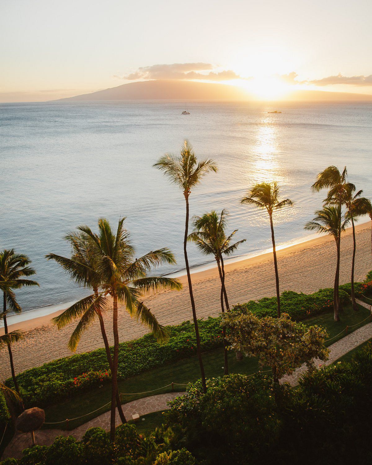 Aerial view of beach at sunset with palm trees