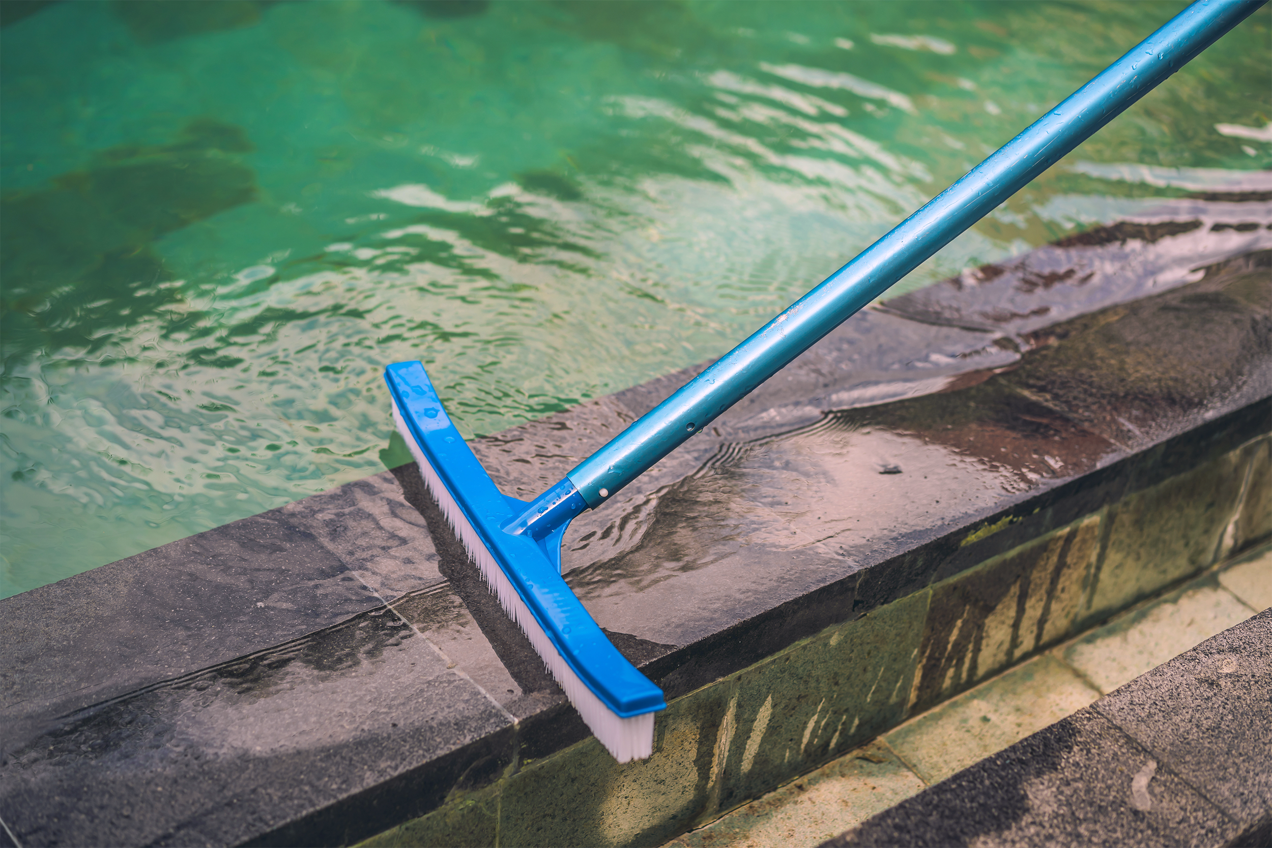 pool brush