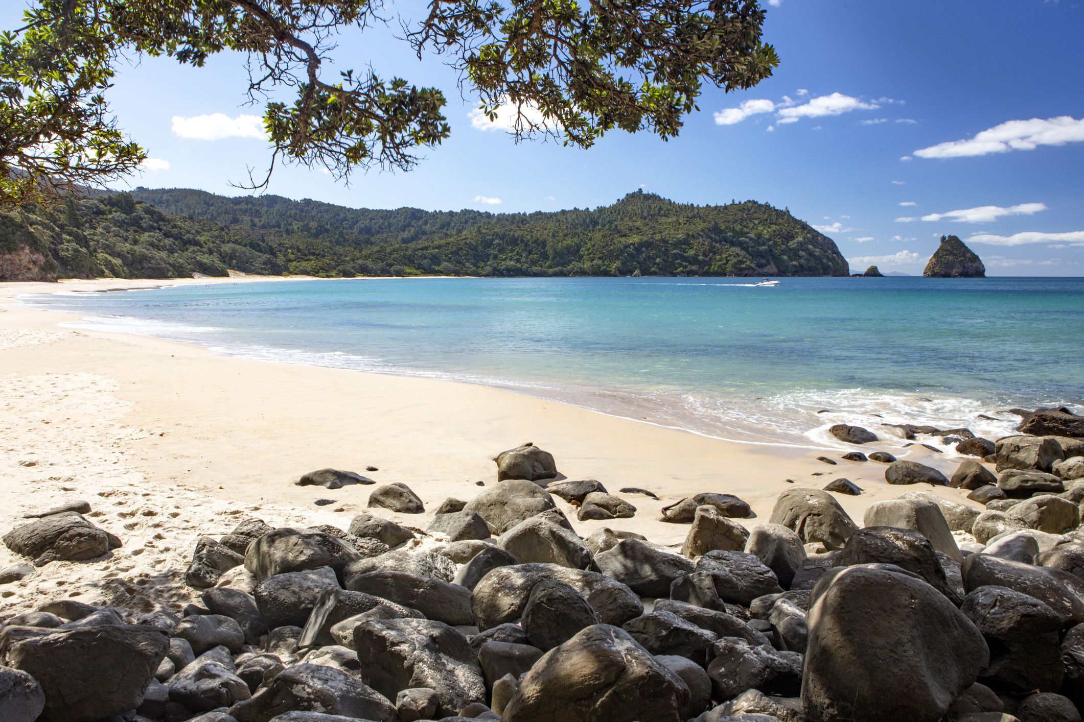 Beach at New Chums in Coromandel