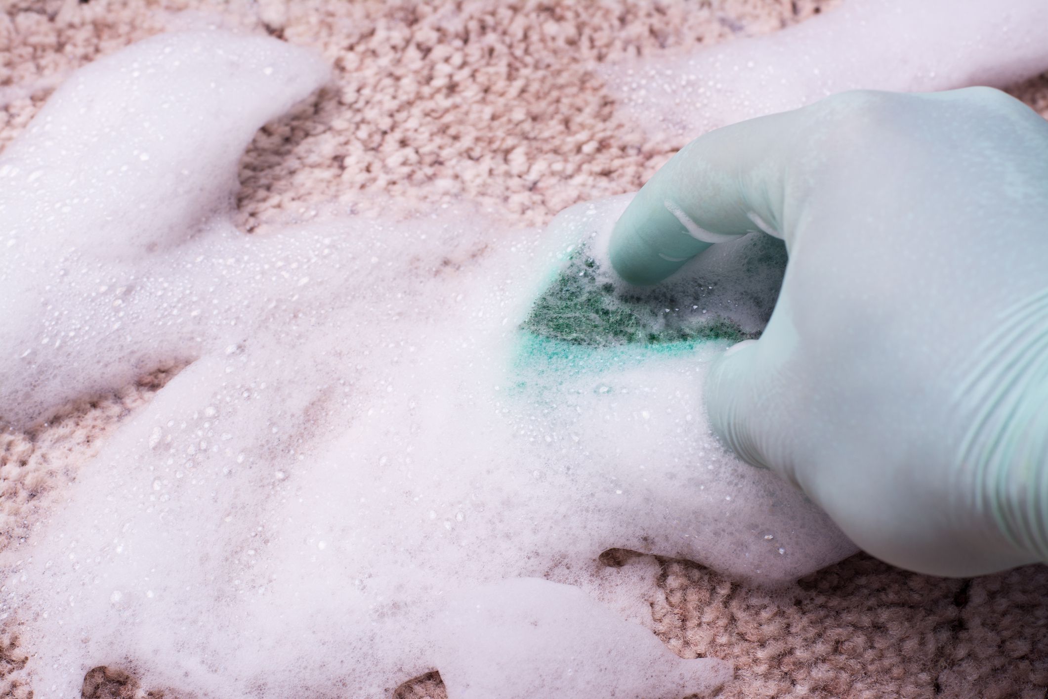 Cleaning carpet with shampoo