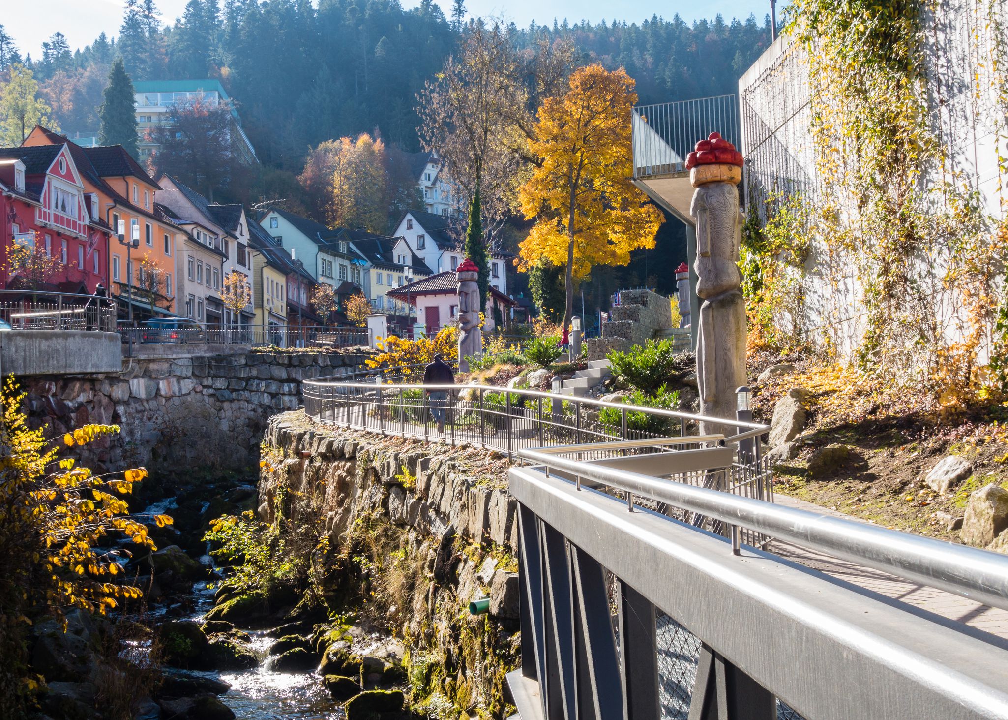Black Forest in Autumn